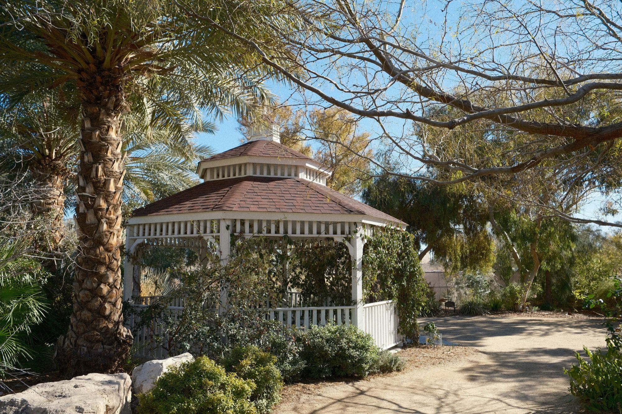 A shaded garden path and gazebo at Springs Preserve in Las Vegas.