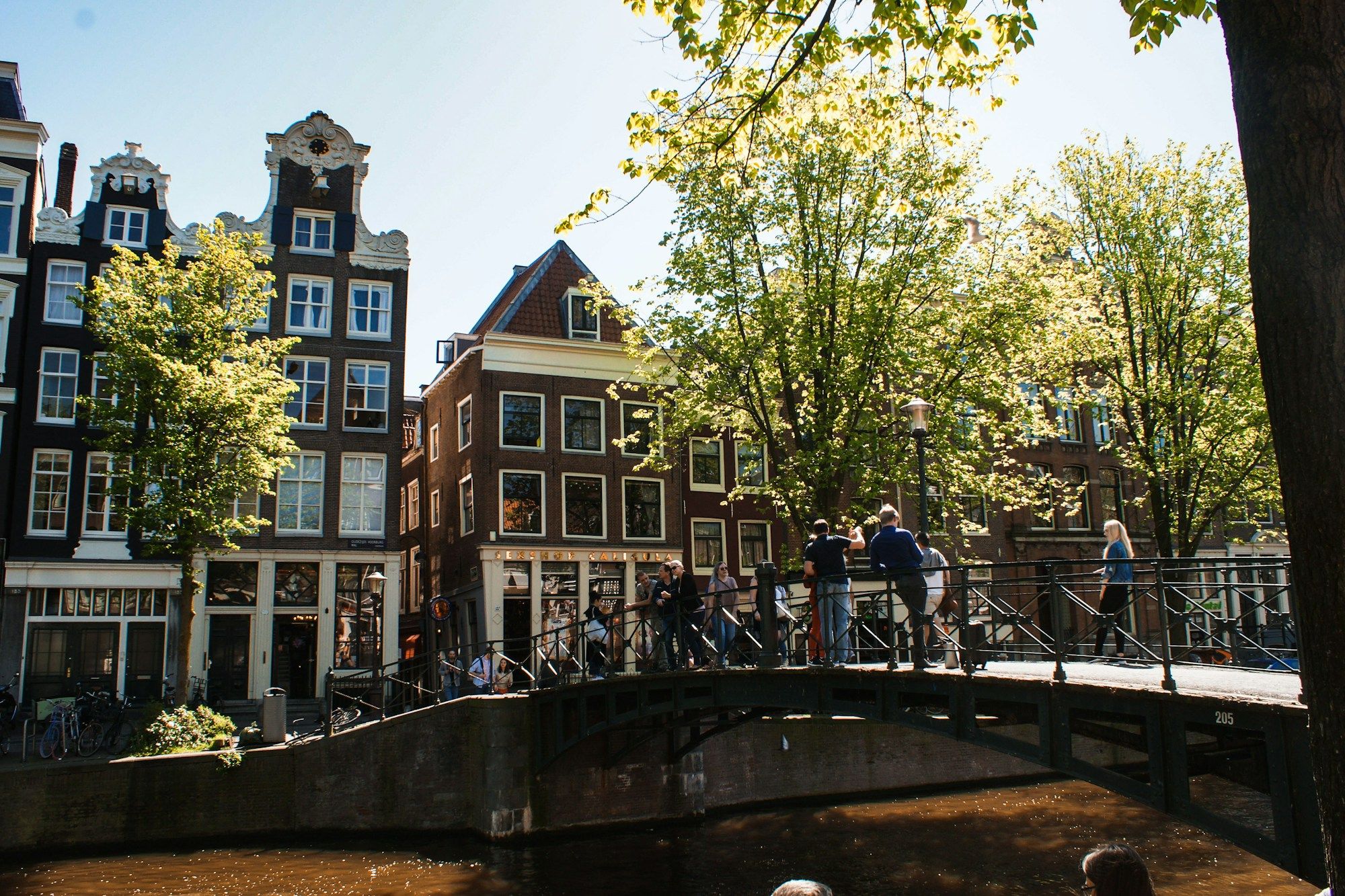 People standing on a bridge over a canal in Amsterdam, with gabled brick houses and green trees behind them.