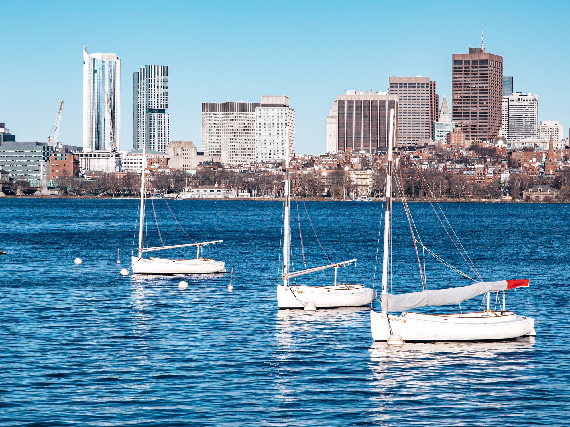 Sailboats on Boston Harbor with the city skyline behind them.