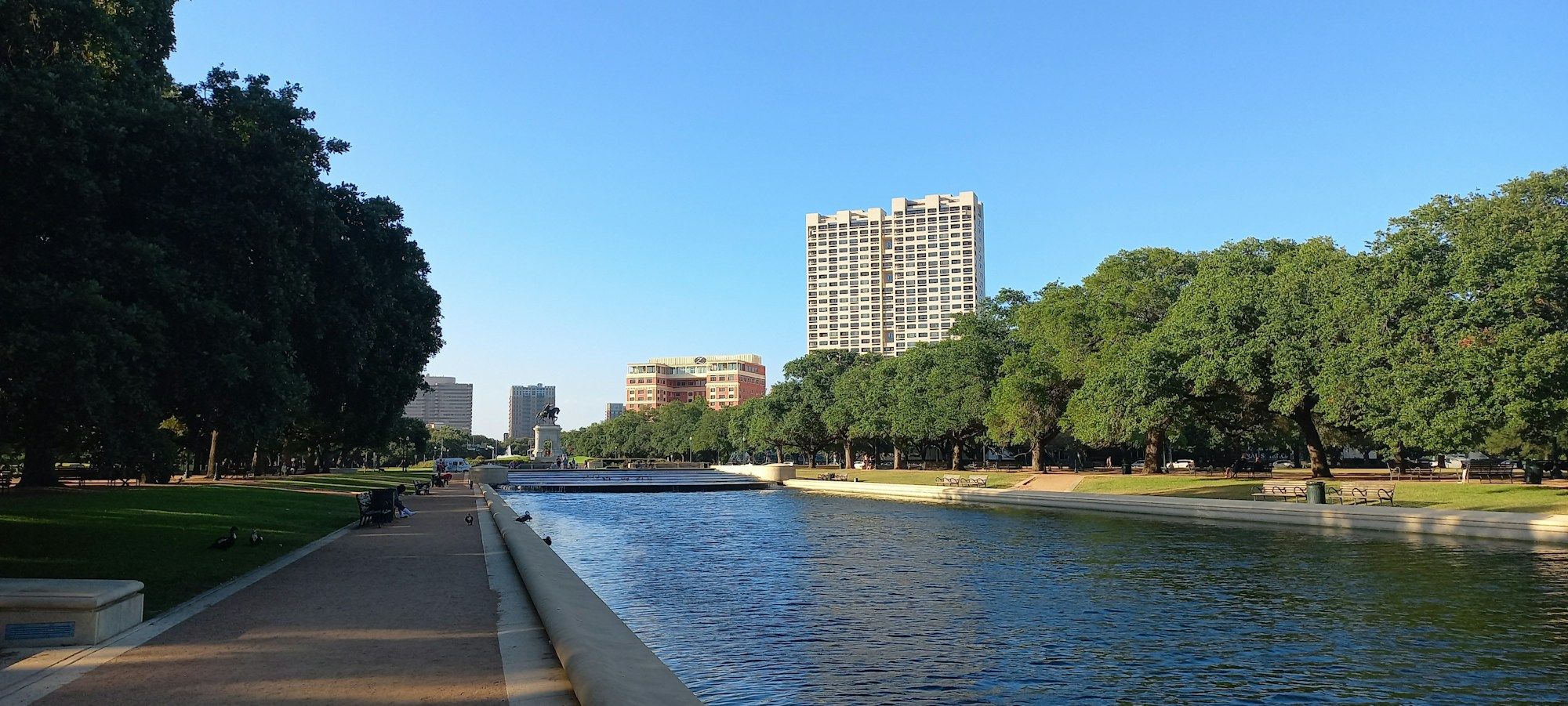 The reflection pool in Hermann Park in Houston, lined with oak trees, with a tall apartment building beyond on a clear day