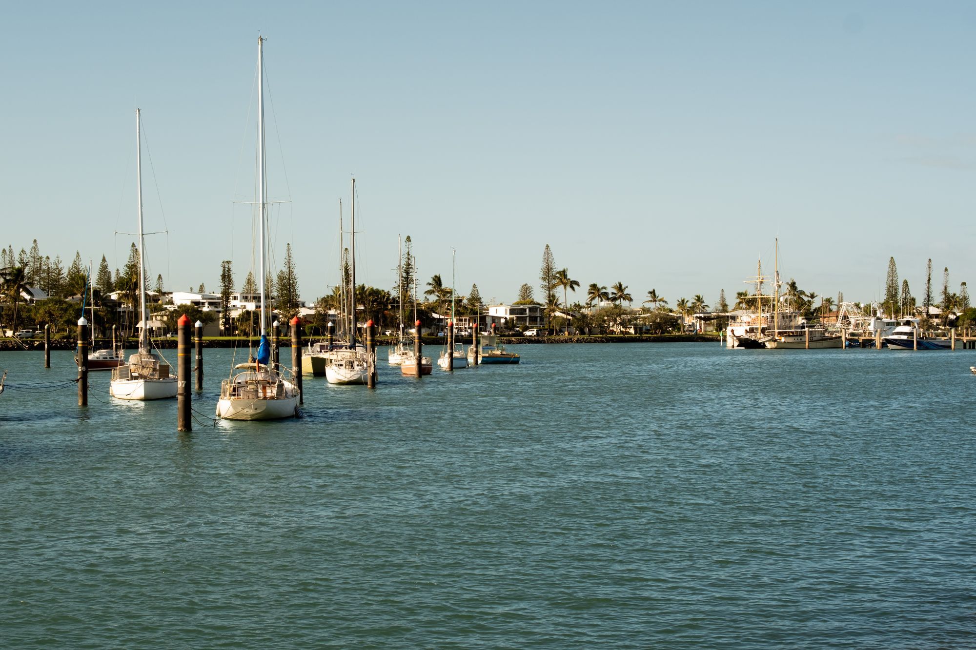 Sailboats moored in Mooloolaba Harbour on the Sunshine Coast under a clear sky.