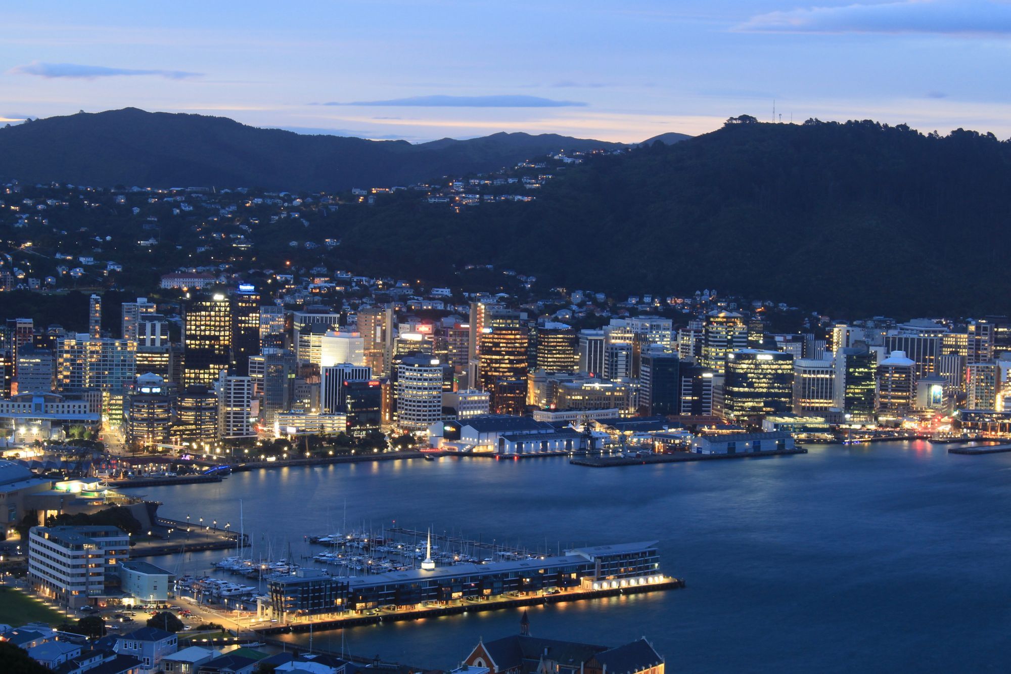 The Wellington city skyline and harbor at dusk, seen from the hills with the lights coming on.