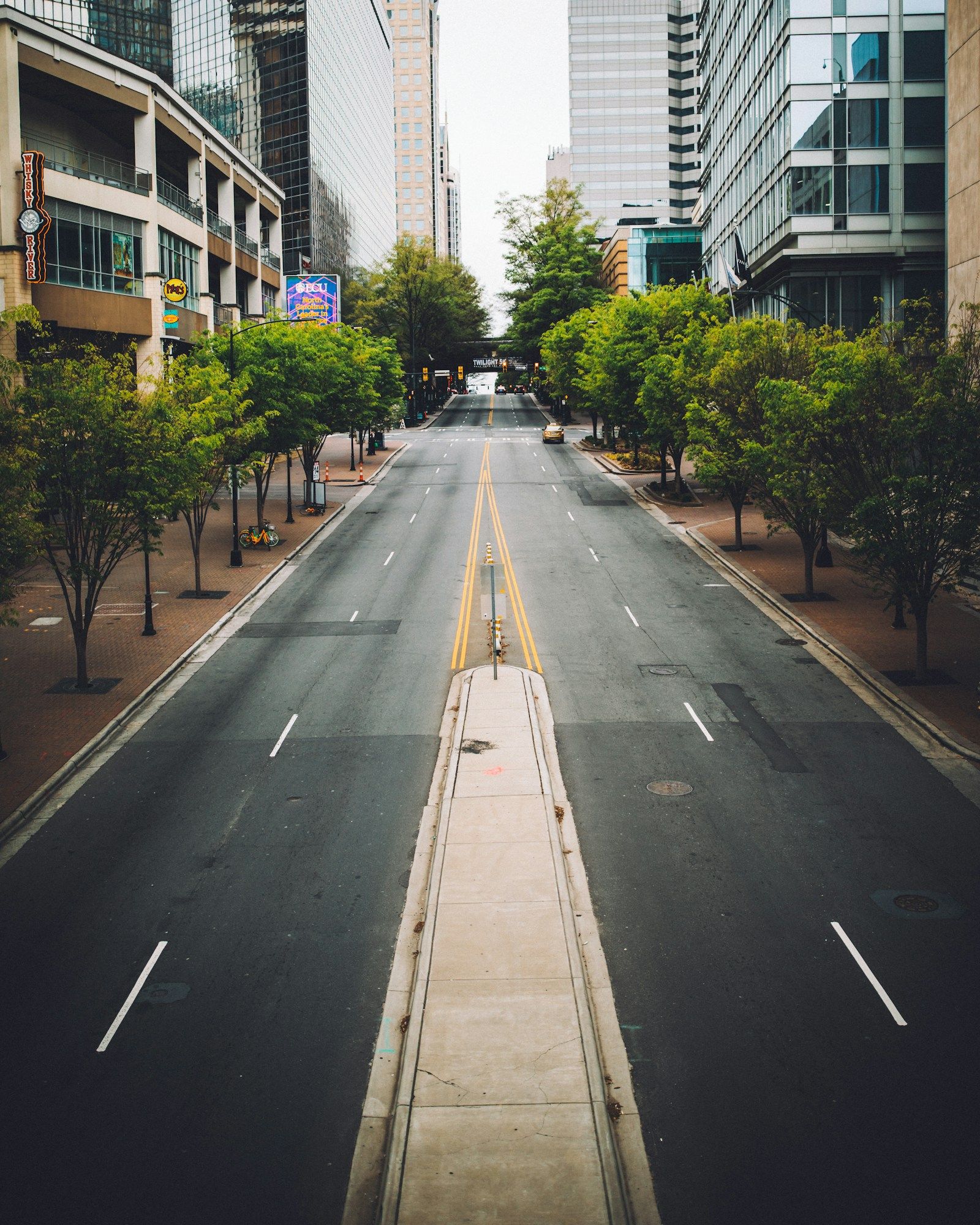 A tree-lined street between office towers in uptown Charlotte