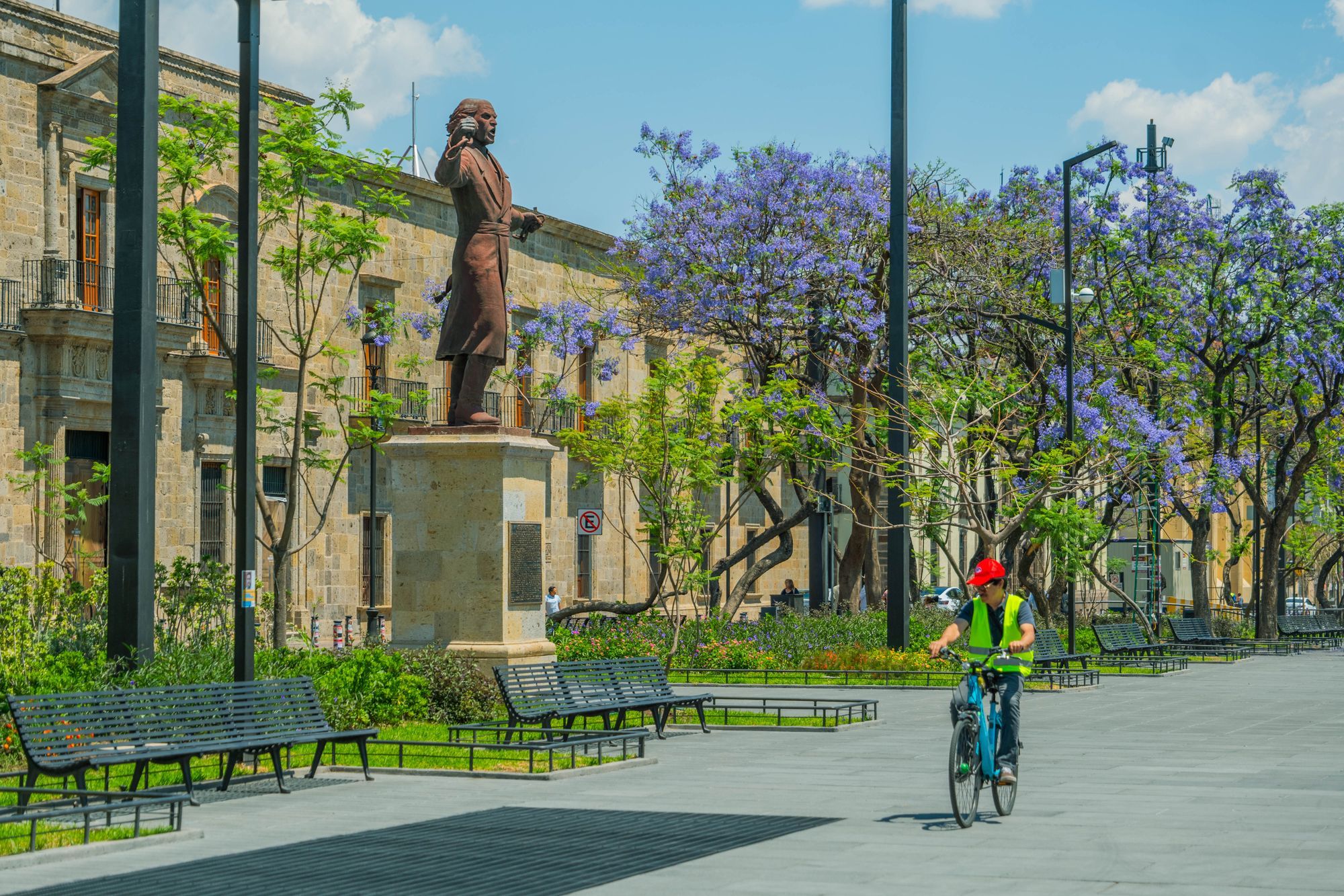 A cyclist rides past a statue and blooming jacaranda trees in a plaza in central Guadalajara.