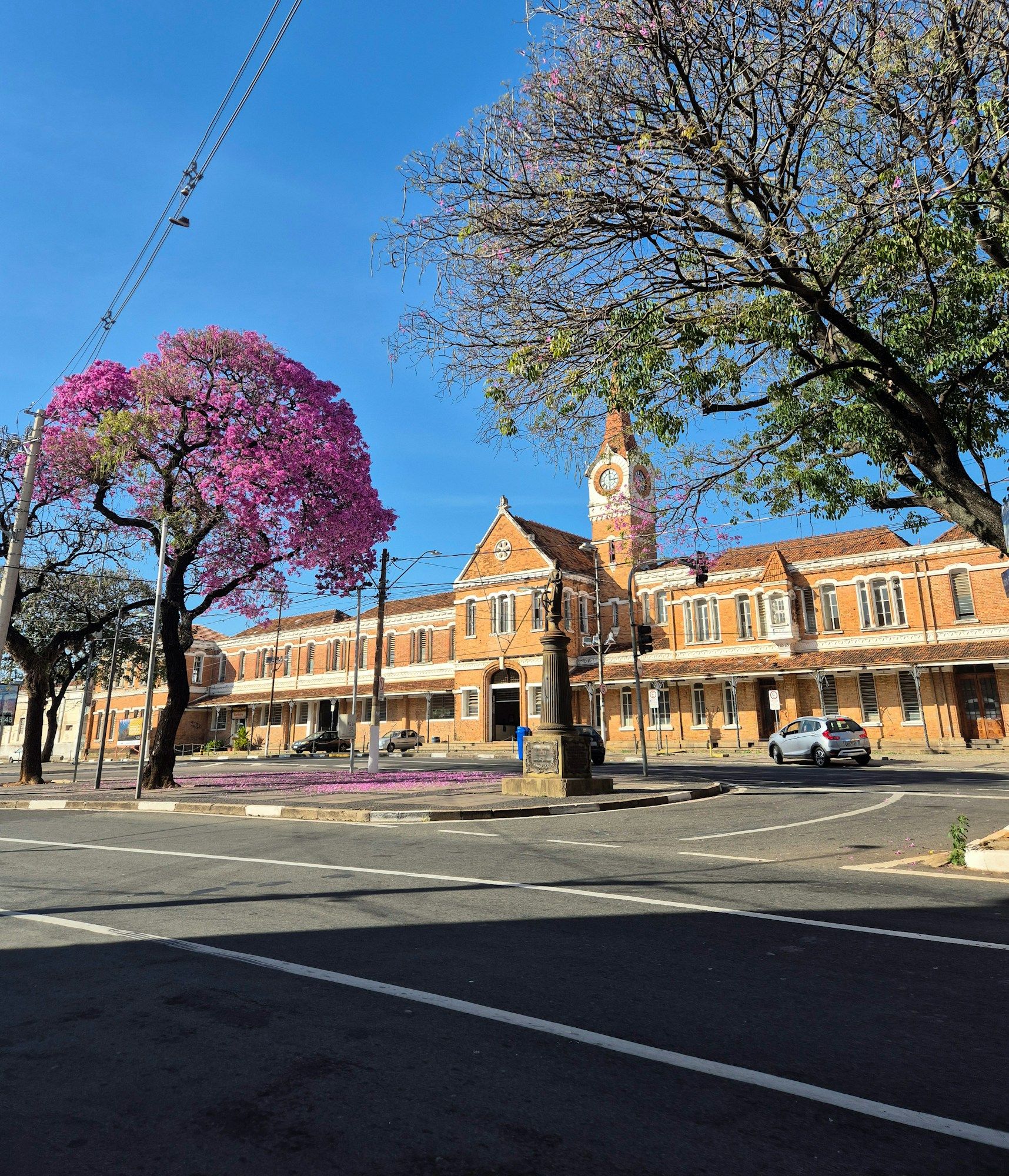 The old Campinas railway station, now Estação Cultura, with its clock tower and a pink ipê tree in bloom.