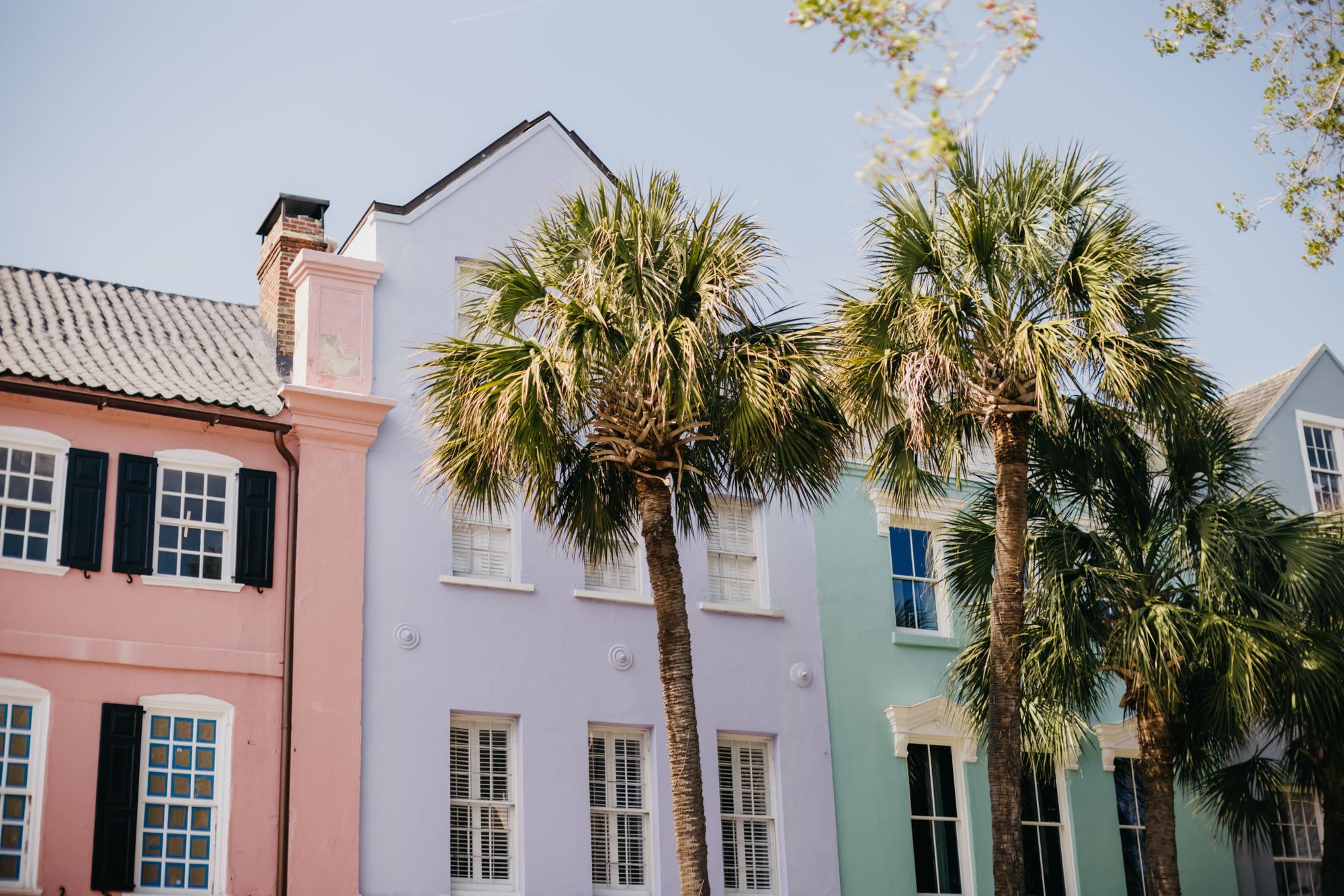 Pastel townhouses and palmetto palms on a Charleston street.