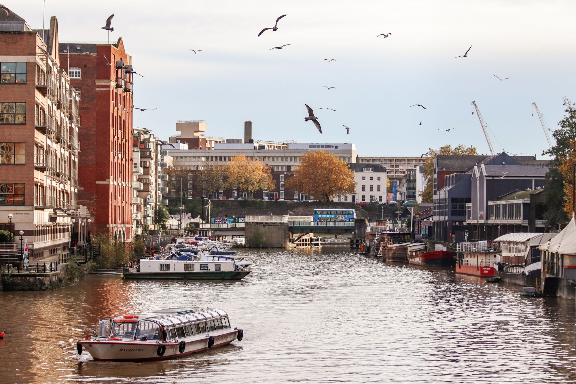Boats on Bristol's Floating Harbour with brick warehouses and autumn trees behind.
