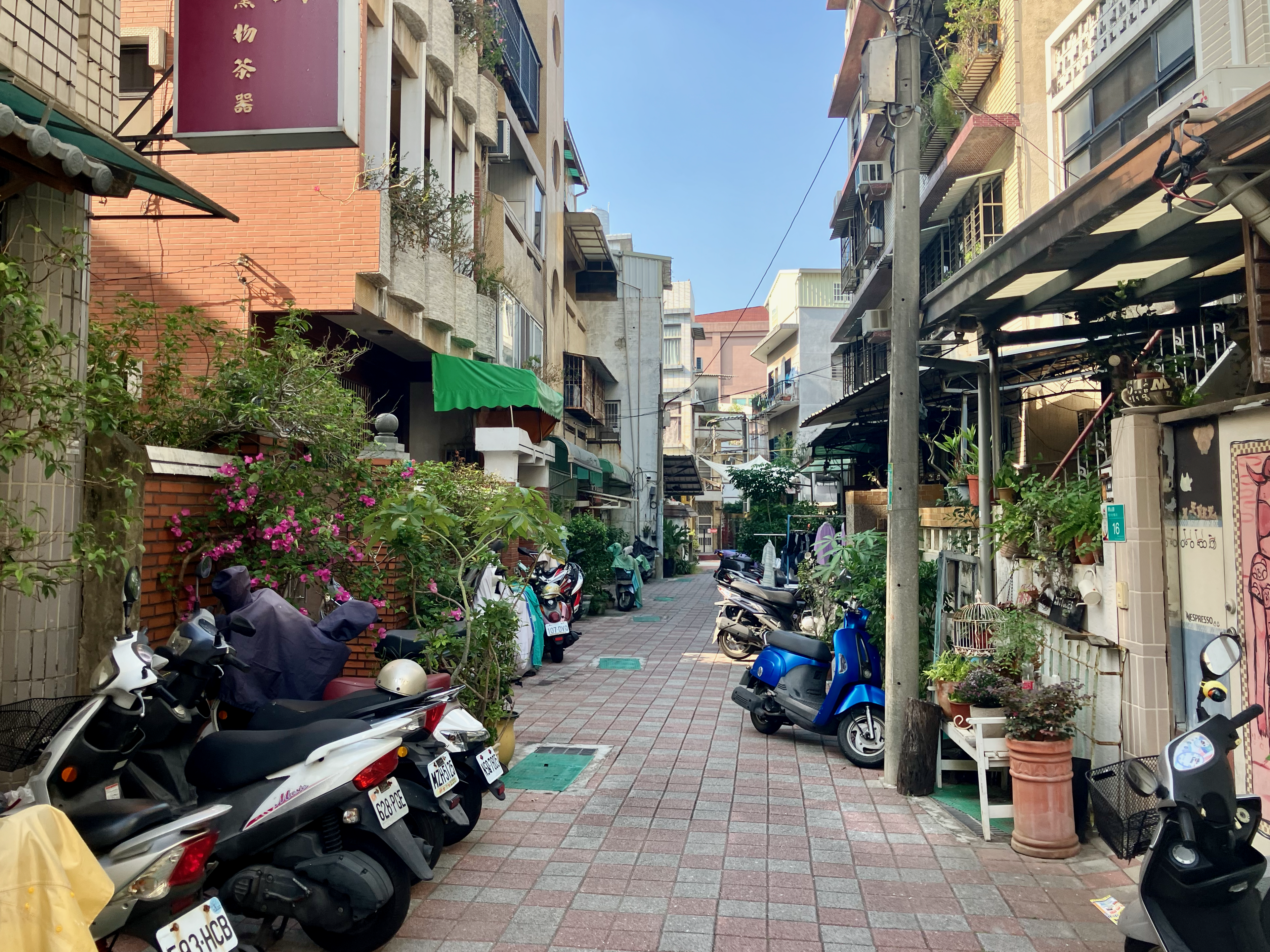 A paved lane with parked scooters, plants and low buildings in Tainan.
