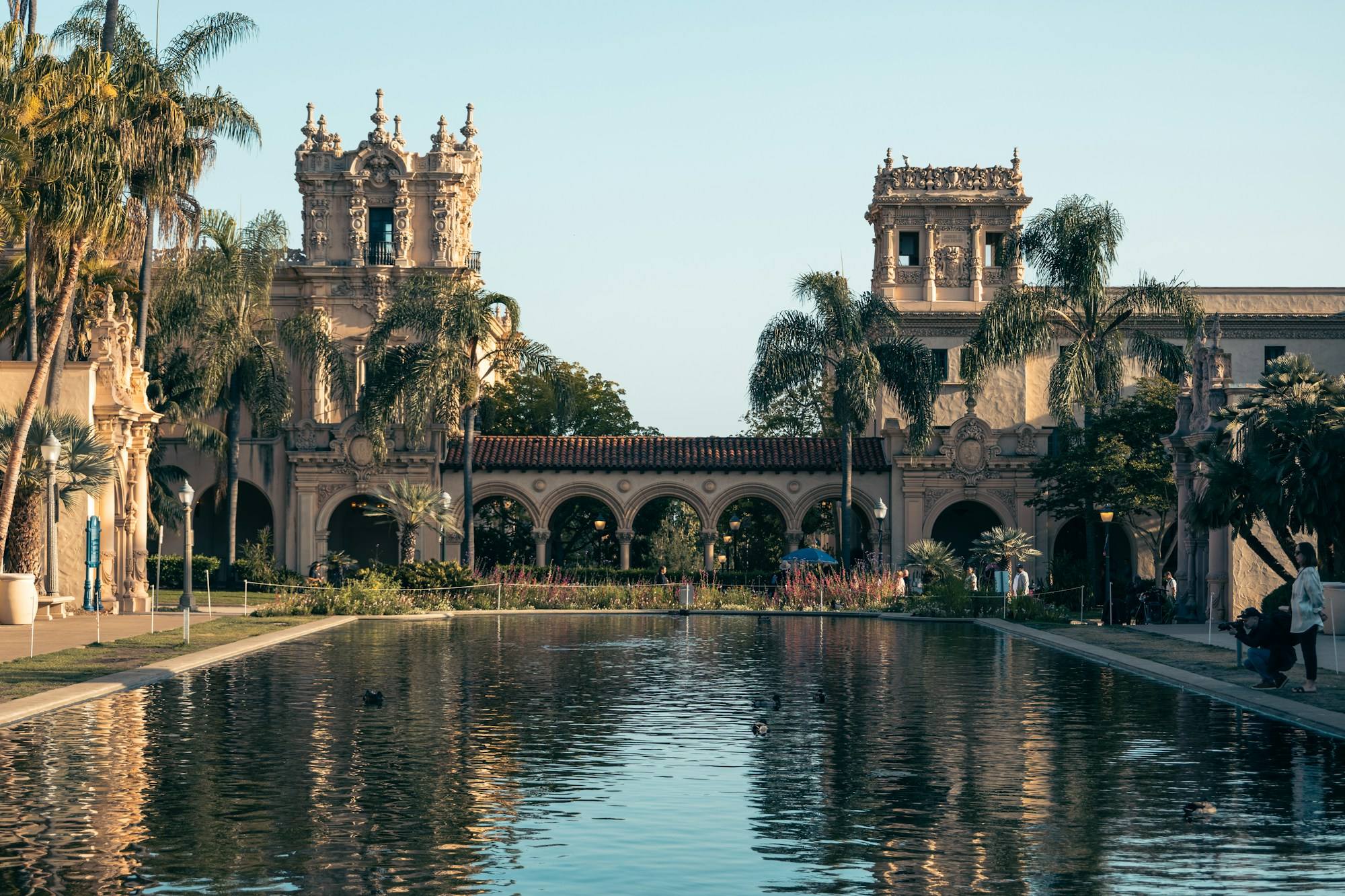 The Lily Pond in Balboa Park, San Diego, with Spanish Revival towers and palm trees behind it.