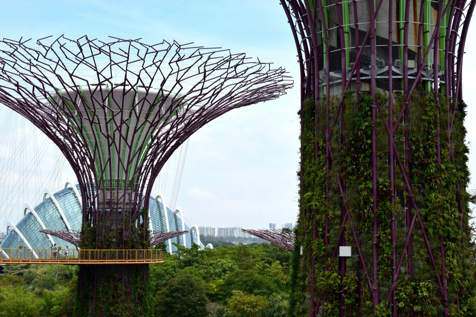The Supertree Grove at Gardens by the Bay in Singapore