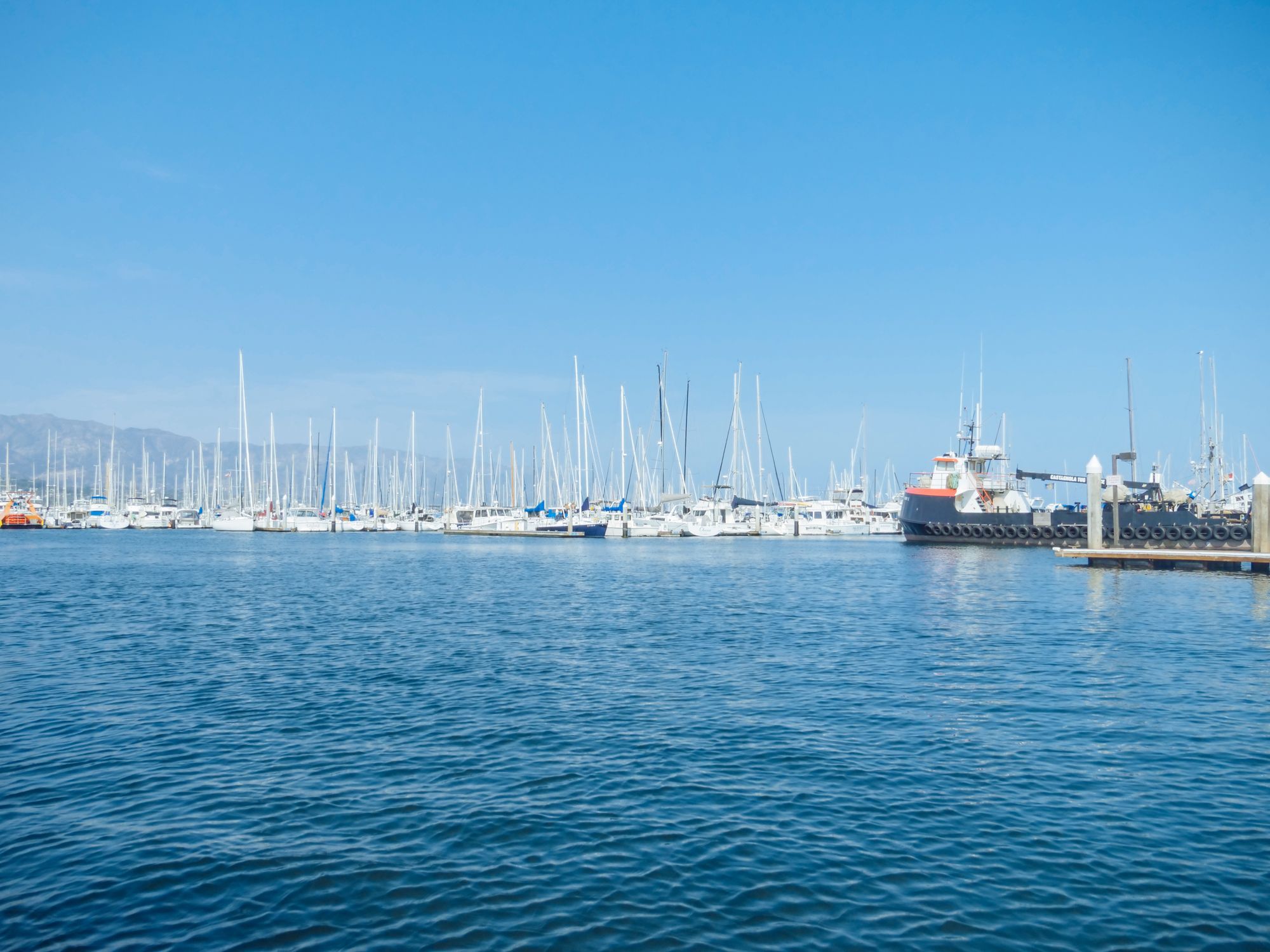 Boats in the Santa Barbara marina with the mountains behind.