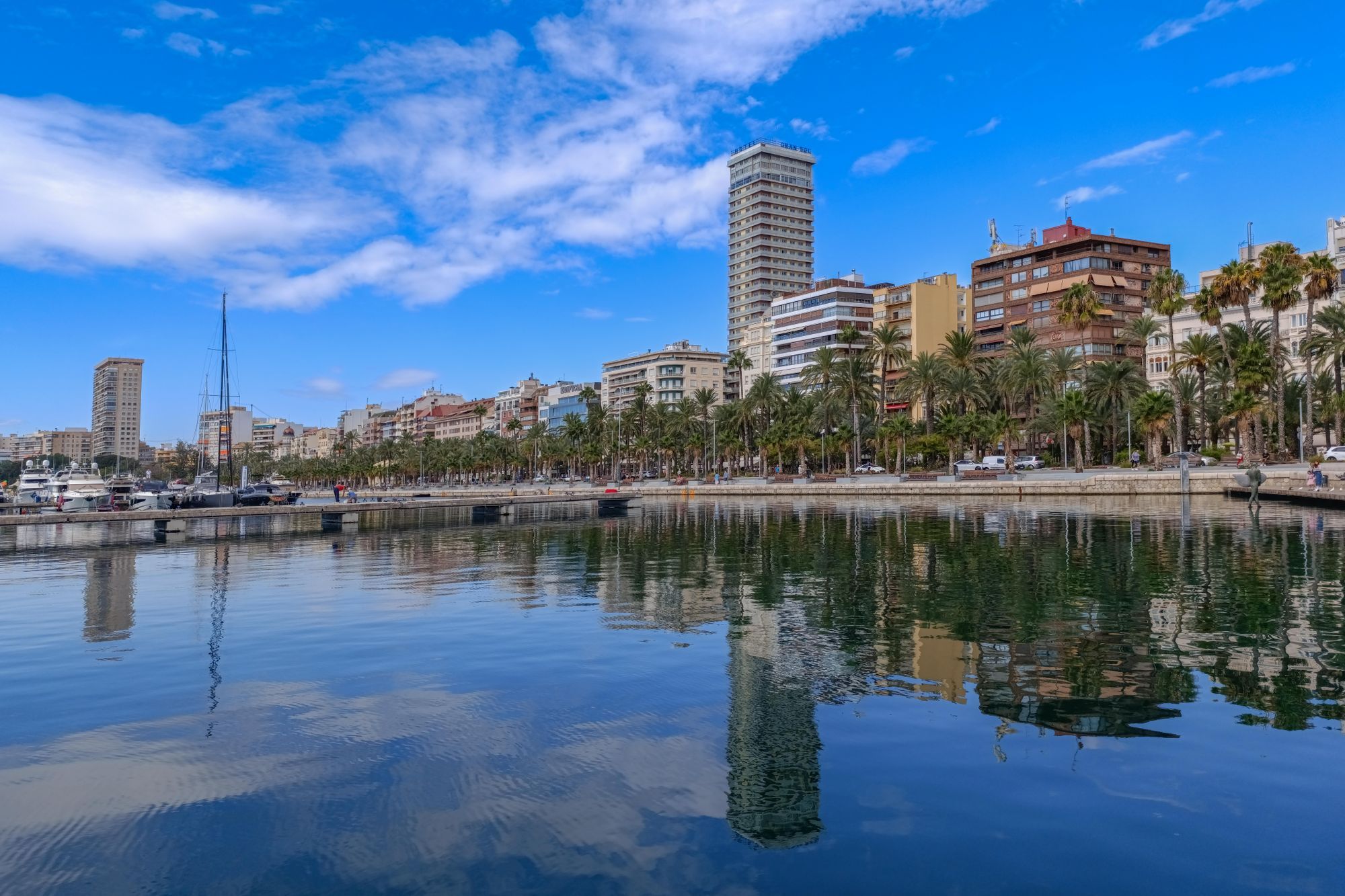 Palm trees and buildings reflected in the water along the marina of Alicante.