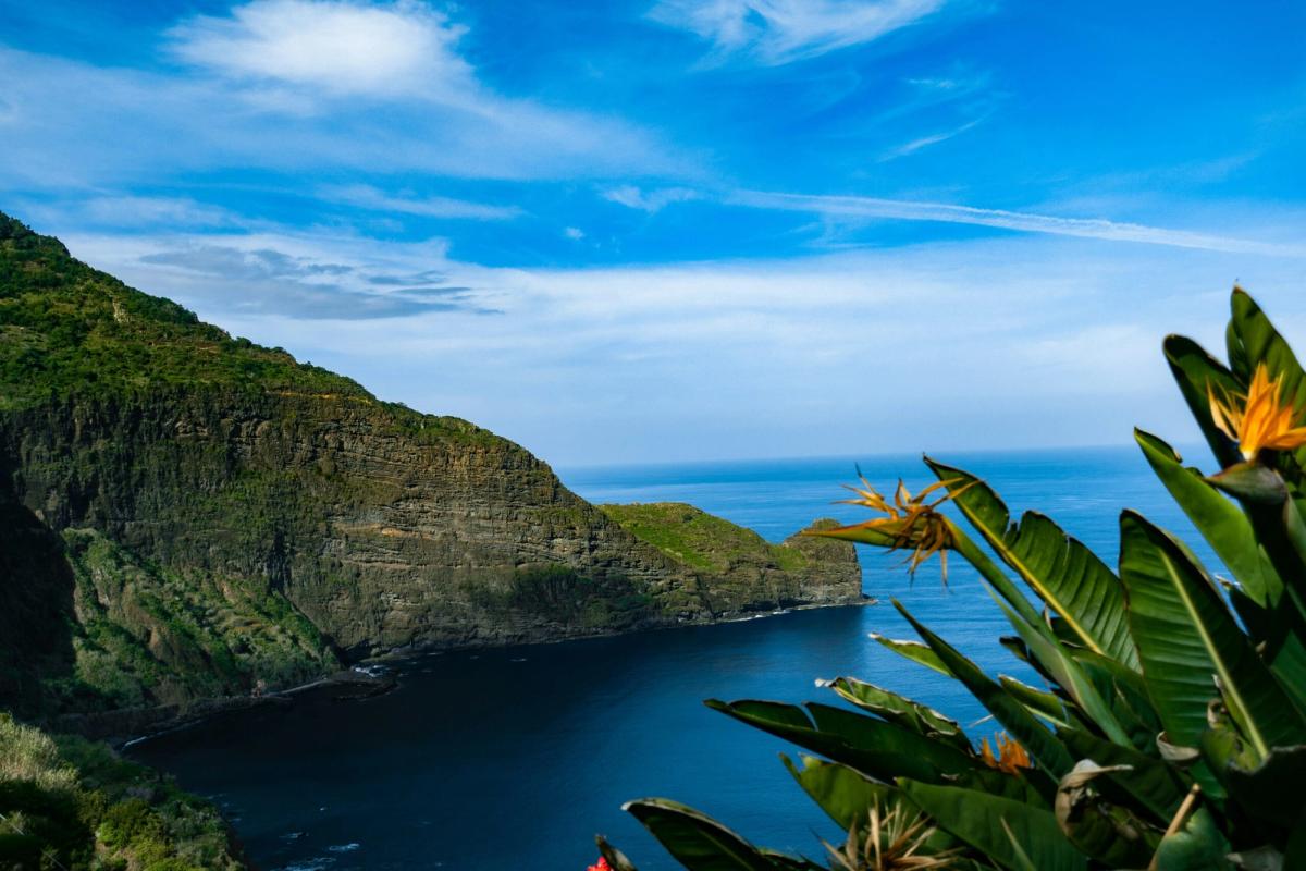 Timeleft Arrives in Funchal: Dining with Strangers in the Pearl of the Atlantic