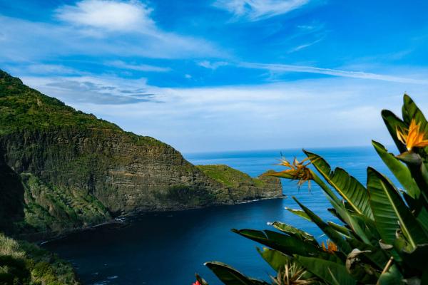 Timeleft Arrives in Funchal: Dining with Strangers in the Pearl of the Atlantic