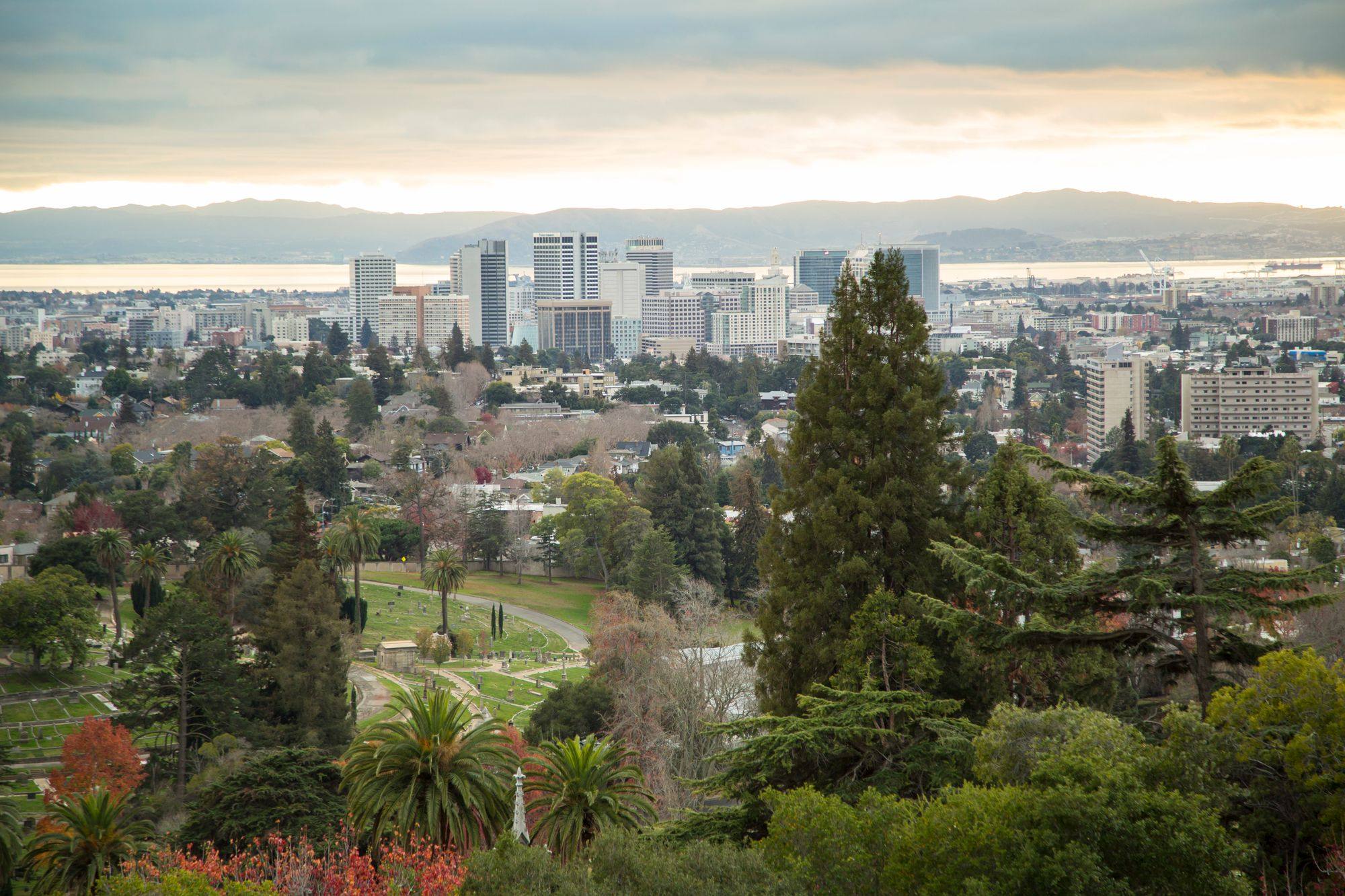 The downtown Oakland skyline seen over trees and a park, with San Francisco Bay behind.