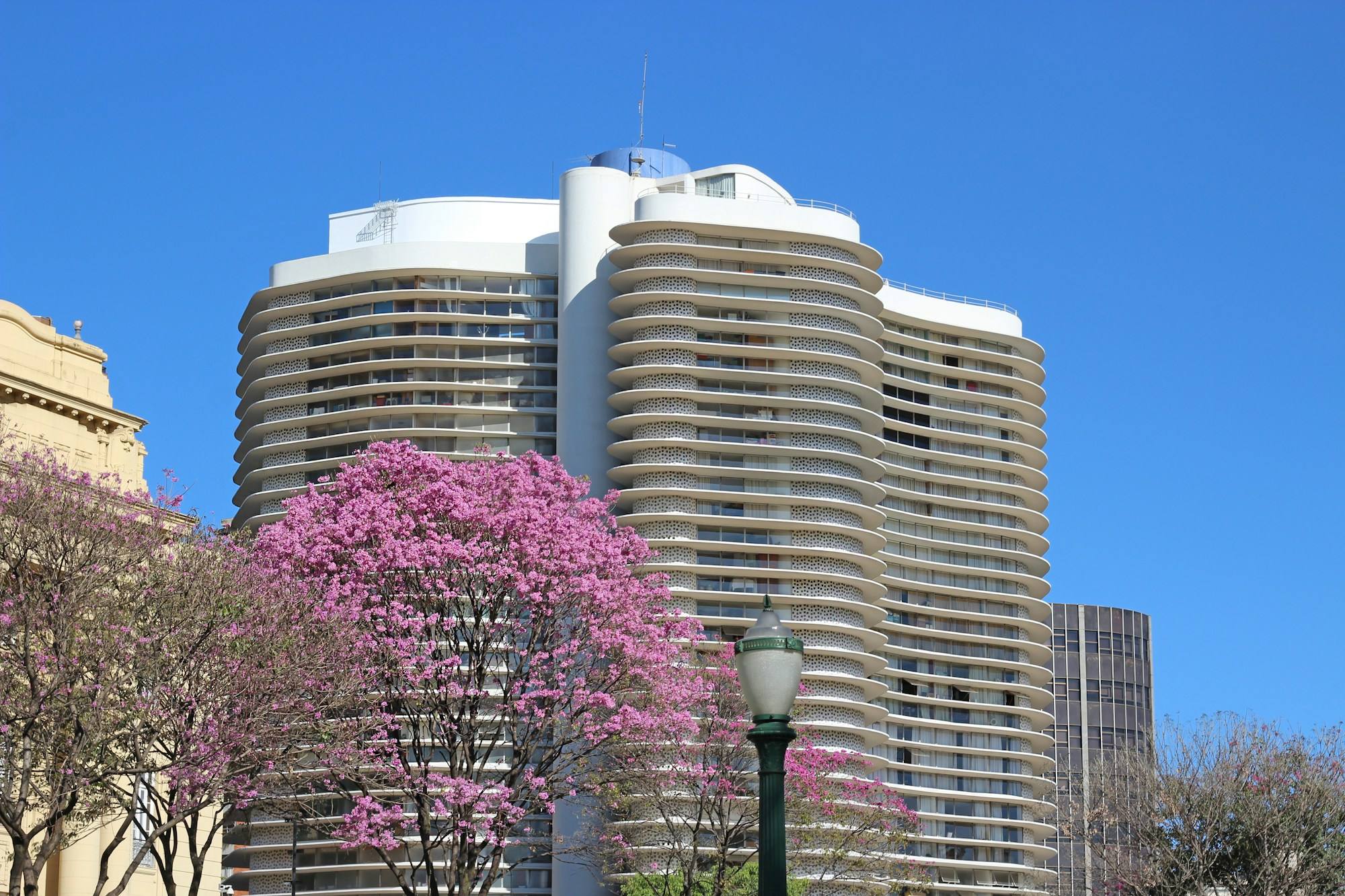 O Edifício Niemeyer e suas curvas, na Praça da Liberdade, em Belo Horizonte, ao lado de um ipê-rosa florido.