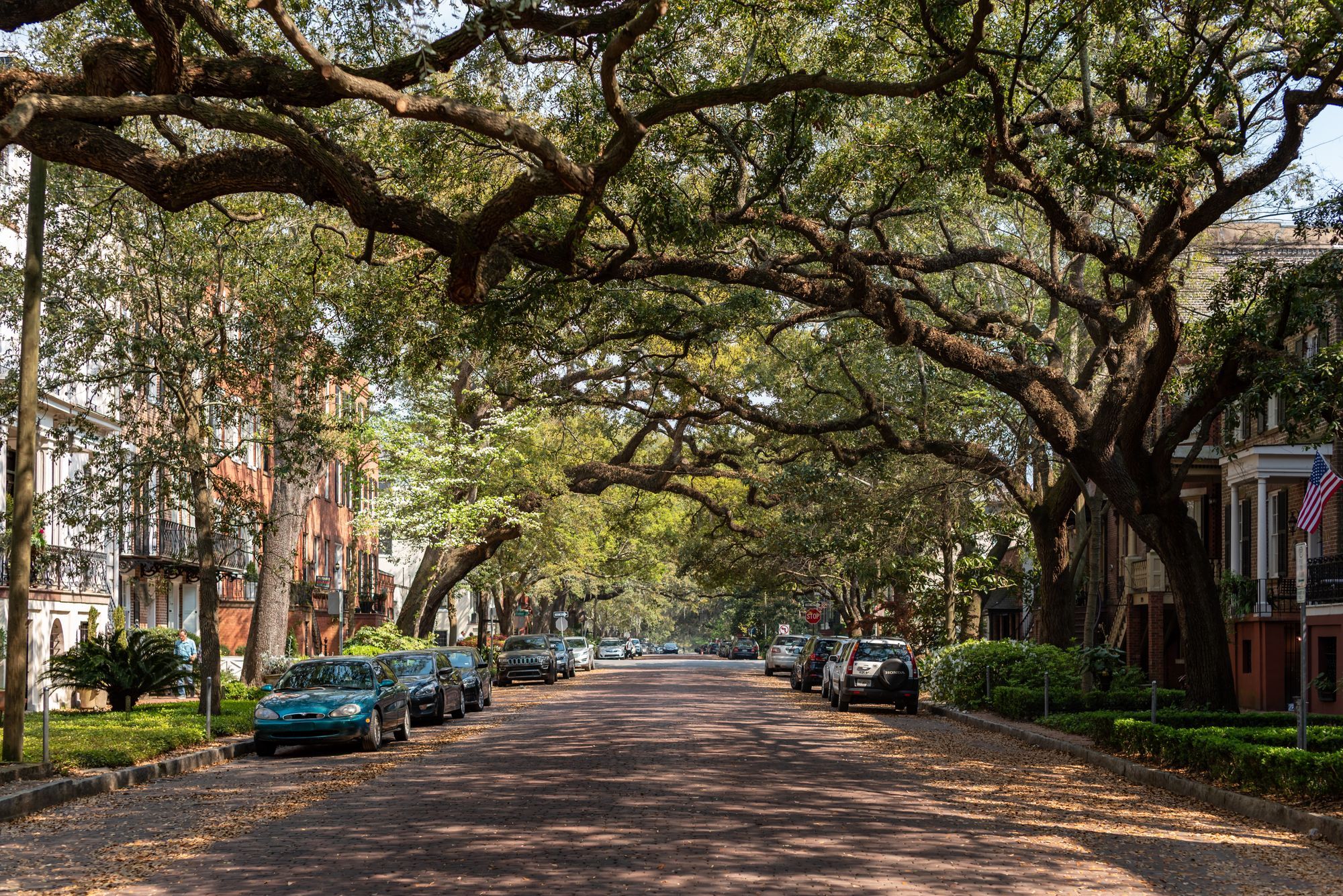 A street in Savannah lined with live oaks and historic brick townhouses.
