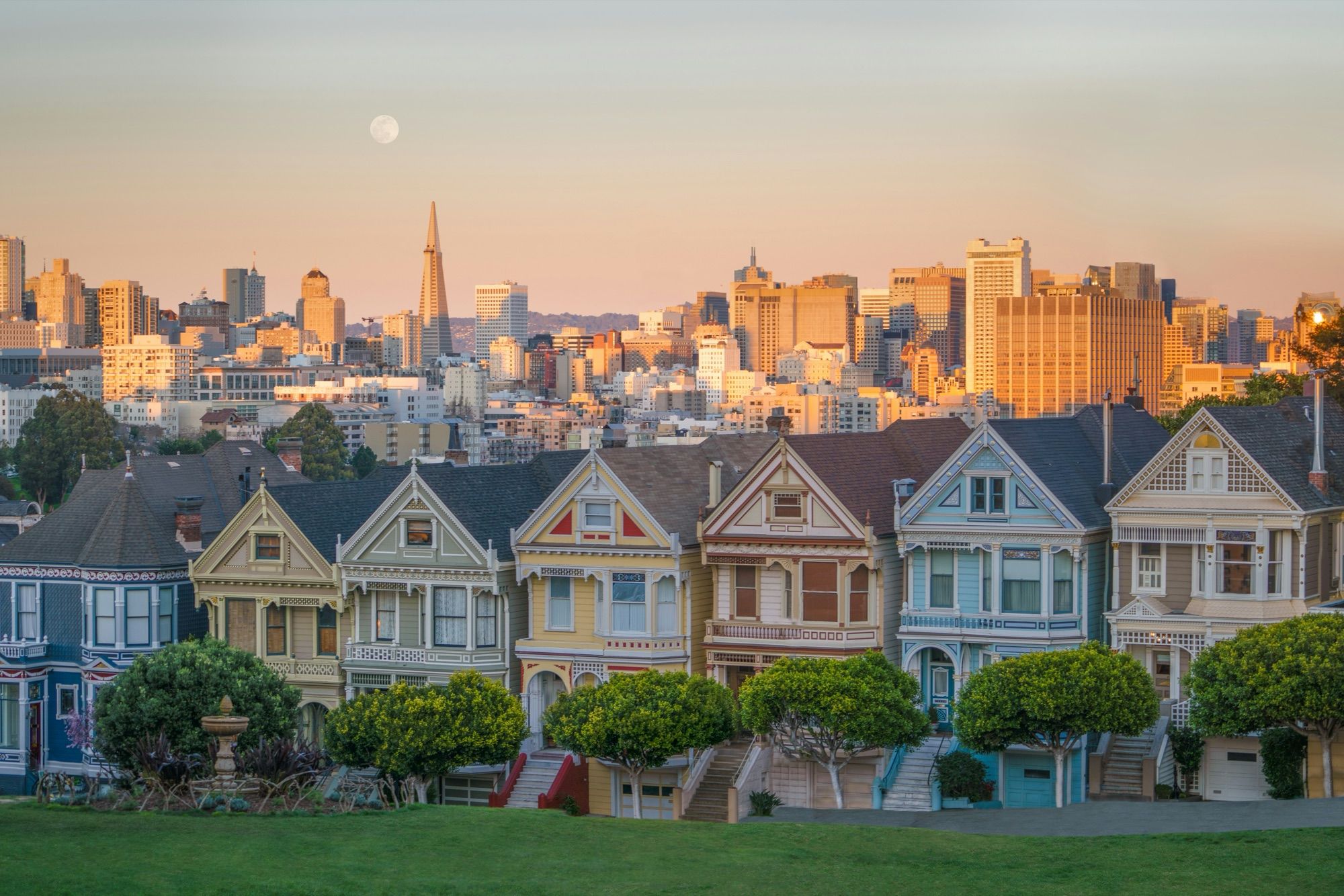 The Painted Ladies on Alamo Square with the San Francisco skyline behind them