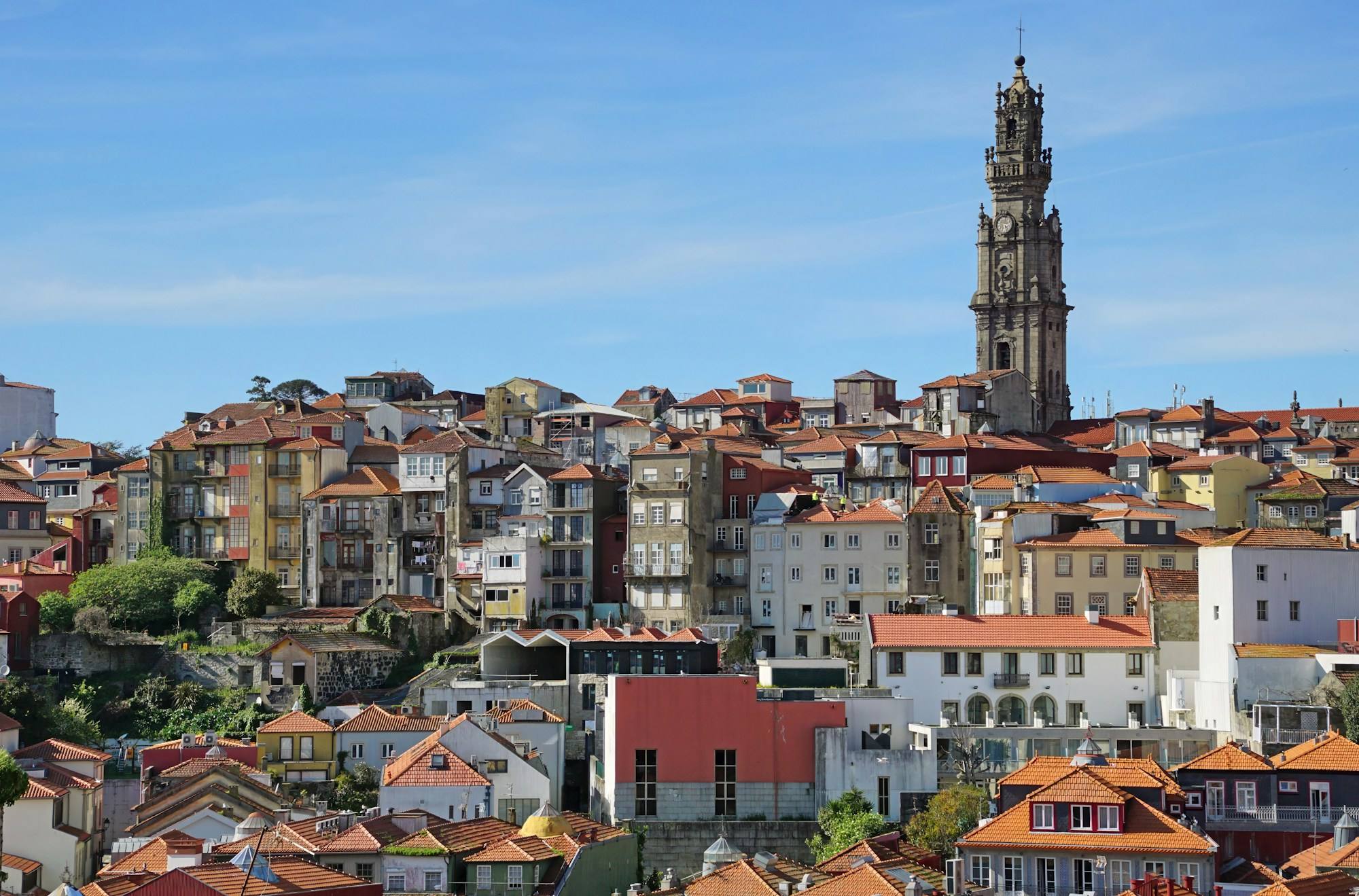 The Clérigos Tower rising above the old houses of central Porto under a clear sky.