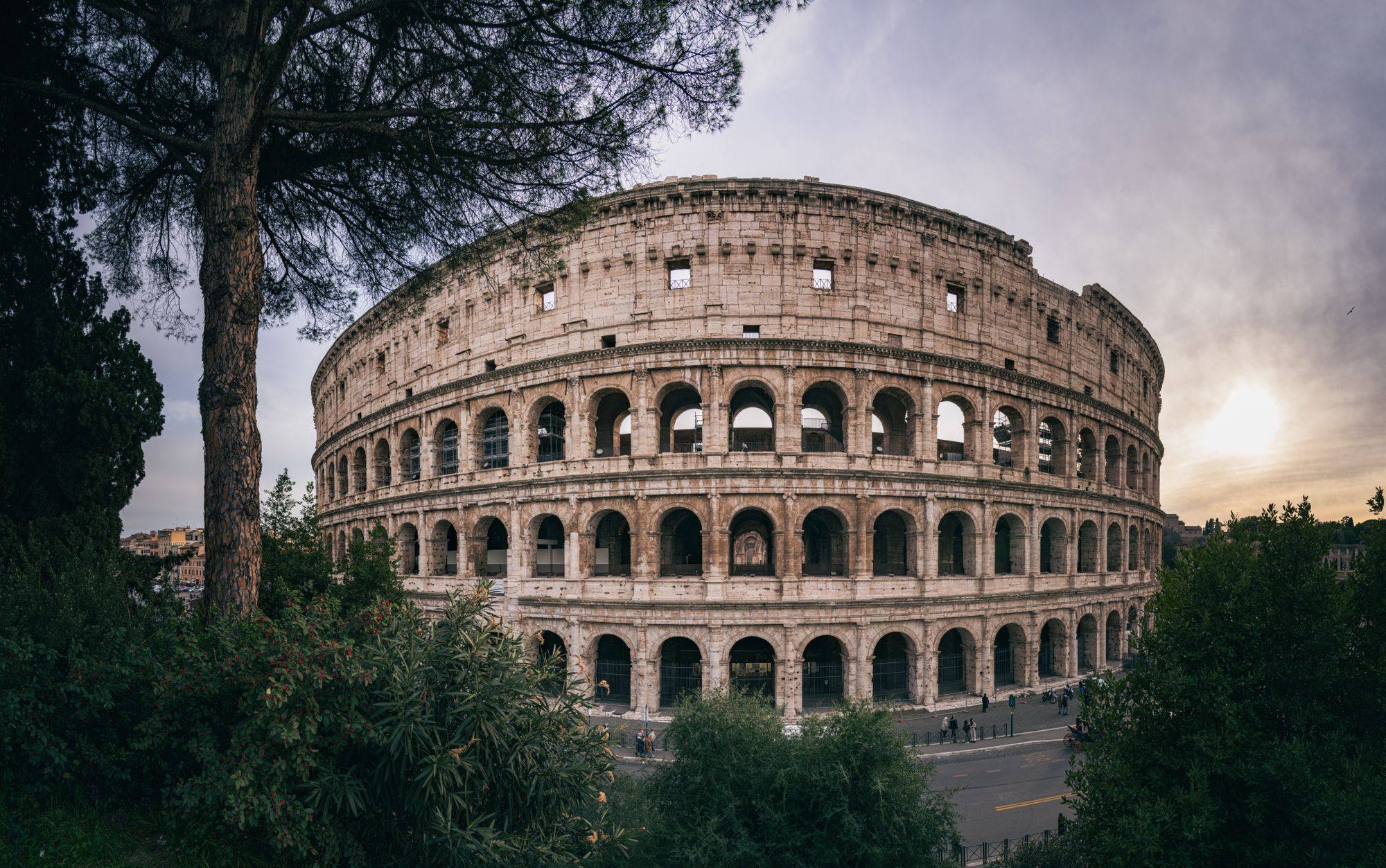 The Colosseum in Rome at dusk, framed by pine trees with a low sun behind the arena.