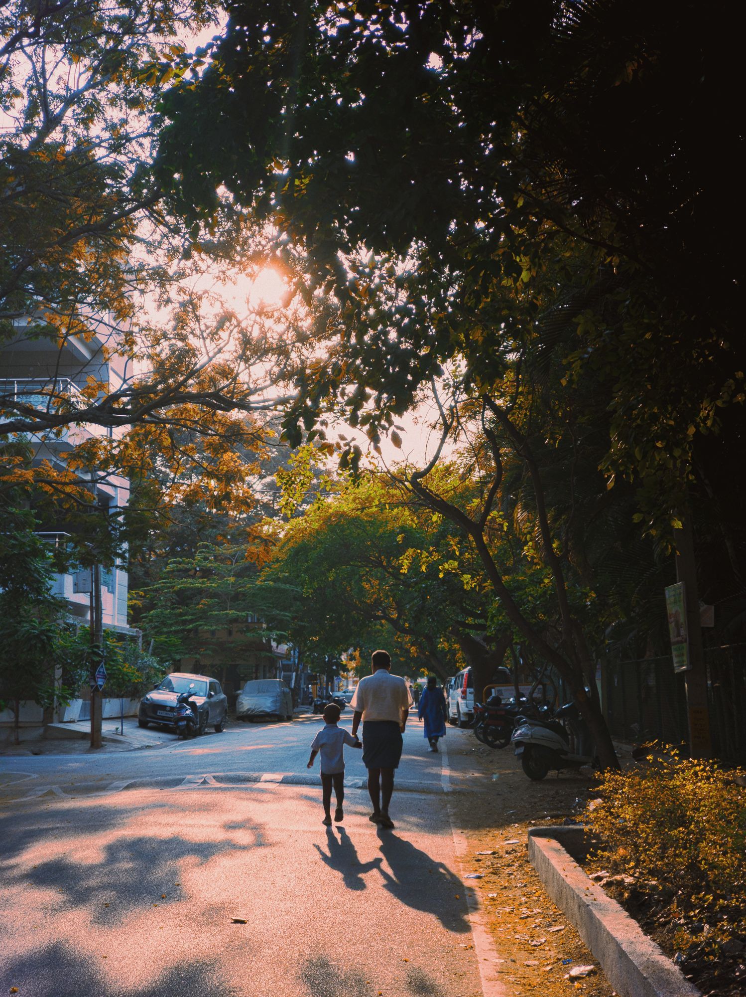 A man and a child walking down a tree-lined street in Bengaluru in the evening sun, with cars parked along the side.