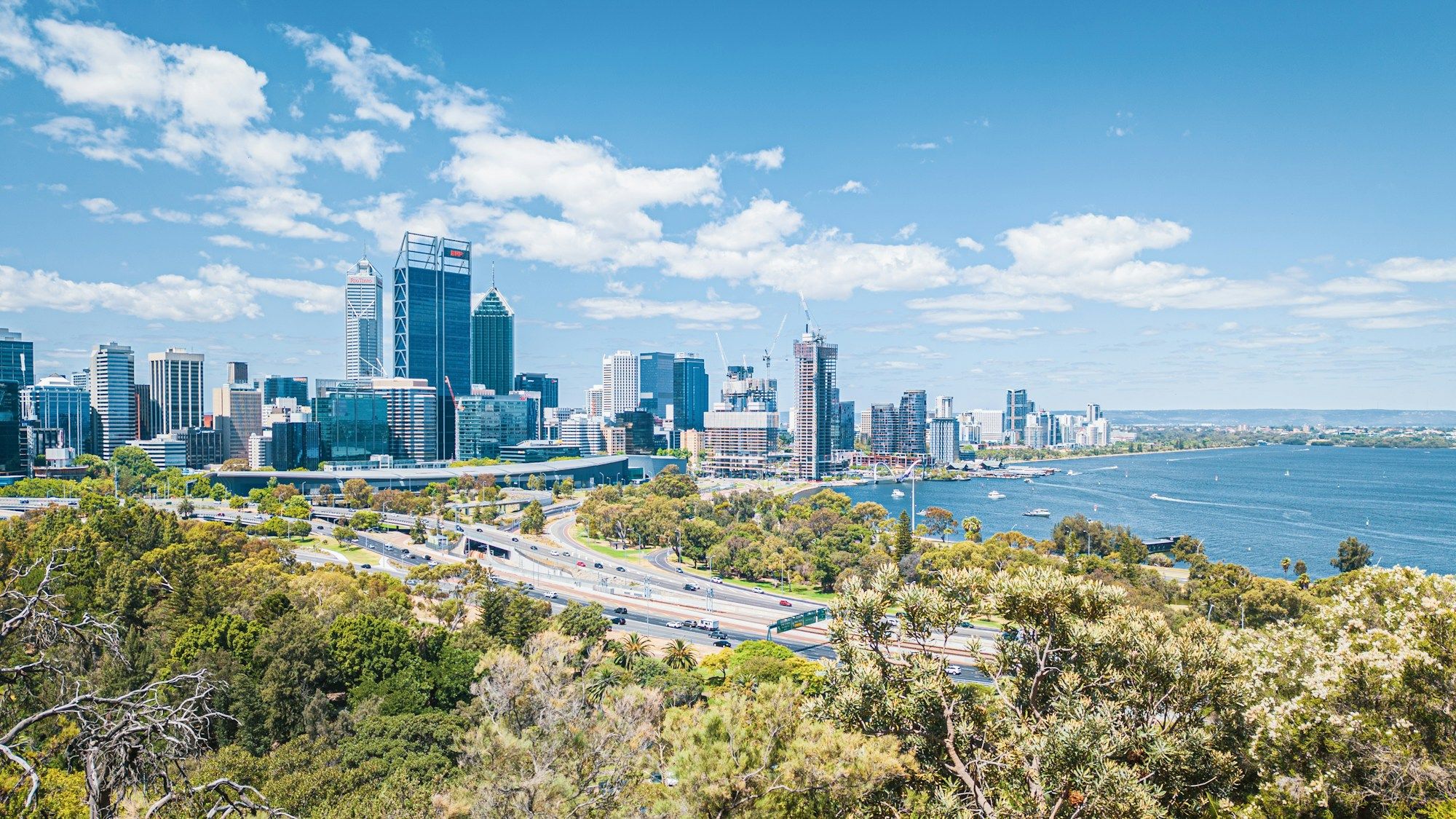The Perth skyline beside the Swan River, seen from a hillside lookout with bushland in the foreground.