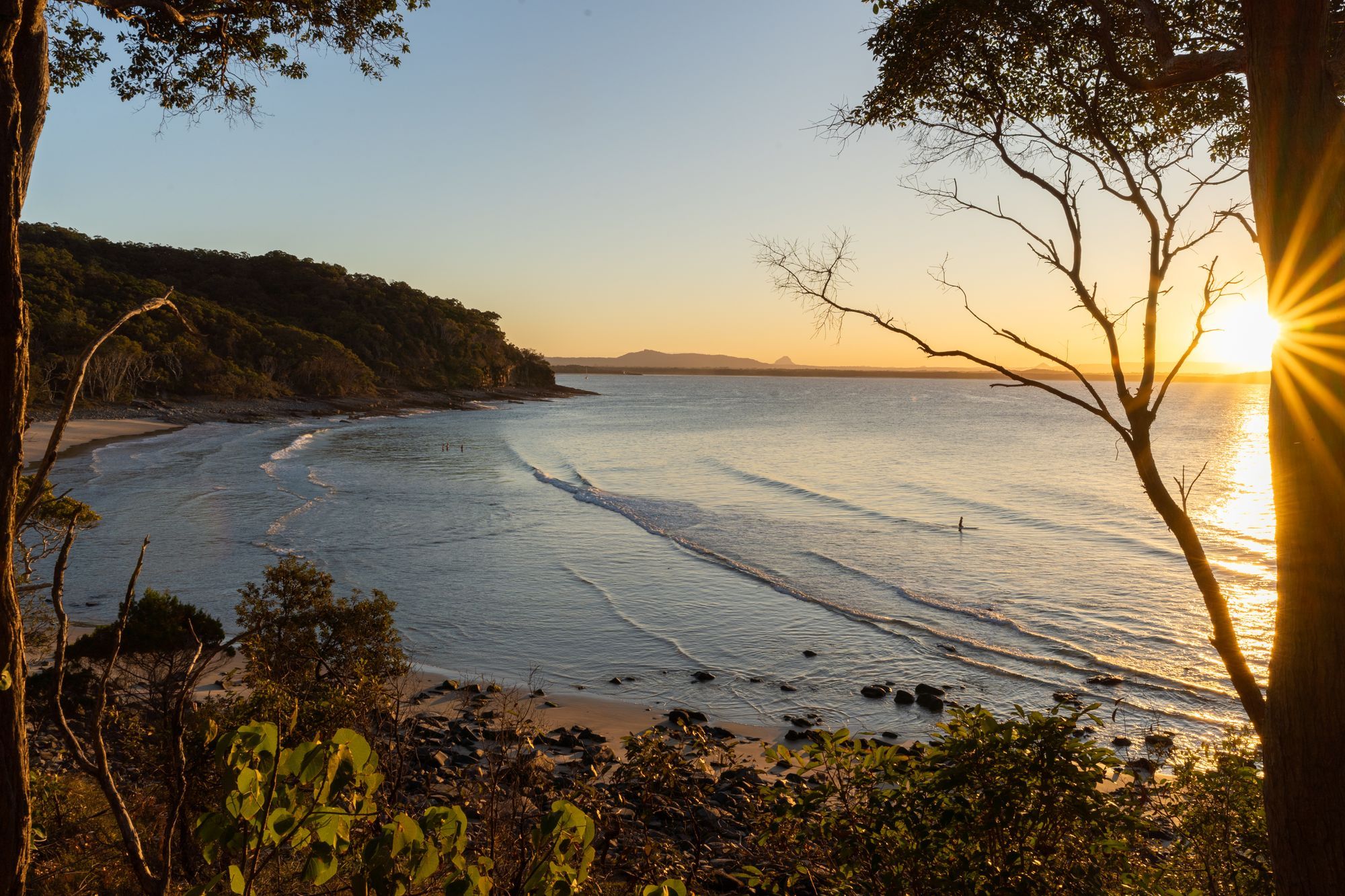Sunset over Noosa Beach on the Sunshine Coast, seen from the headland through gum trees.
