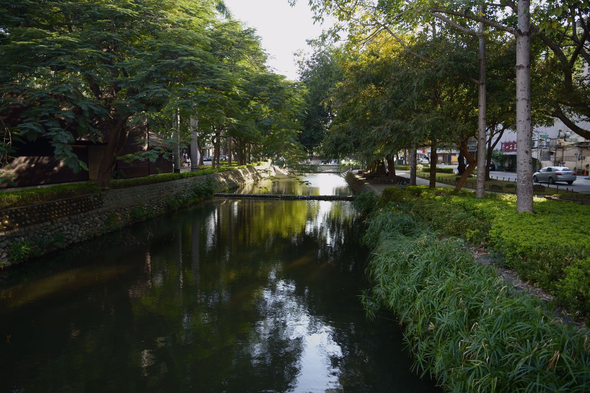 A tree-lined canal in Hsinchu City with a path along the bank.