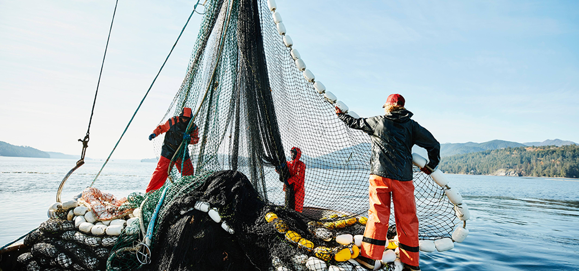 Driving innovation and sustainability in fishing through artificial intelligence