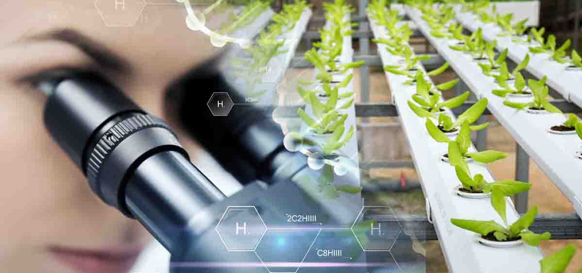 Process reengineering for seed genetic improvement