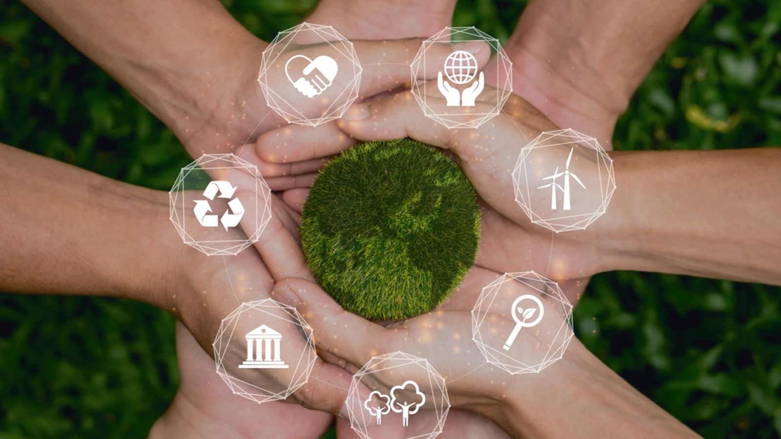 Business Sustainability: New Approaches and Emerging Trends