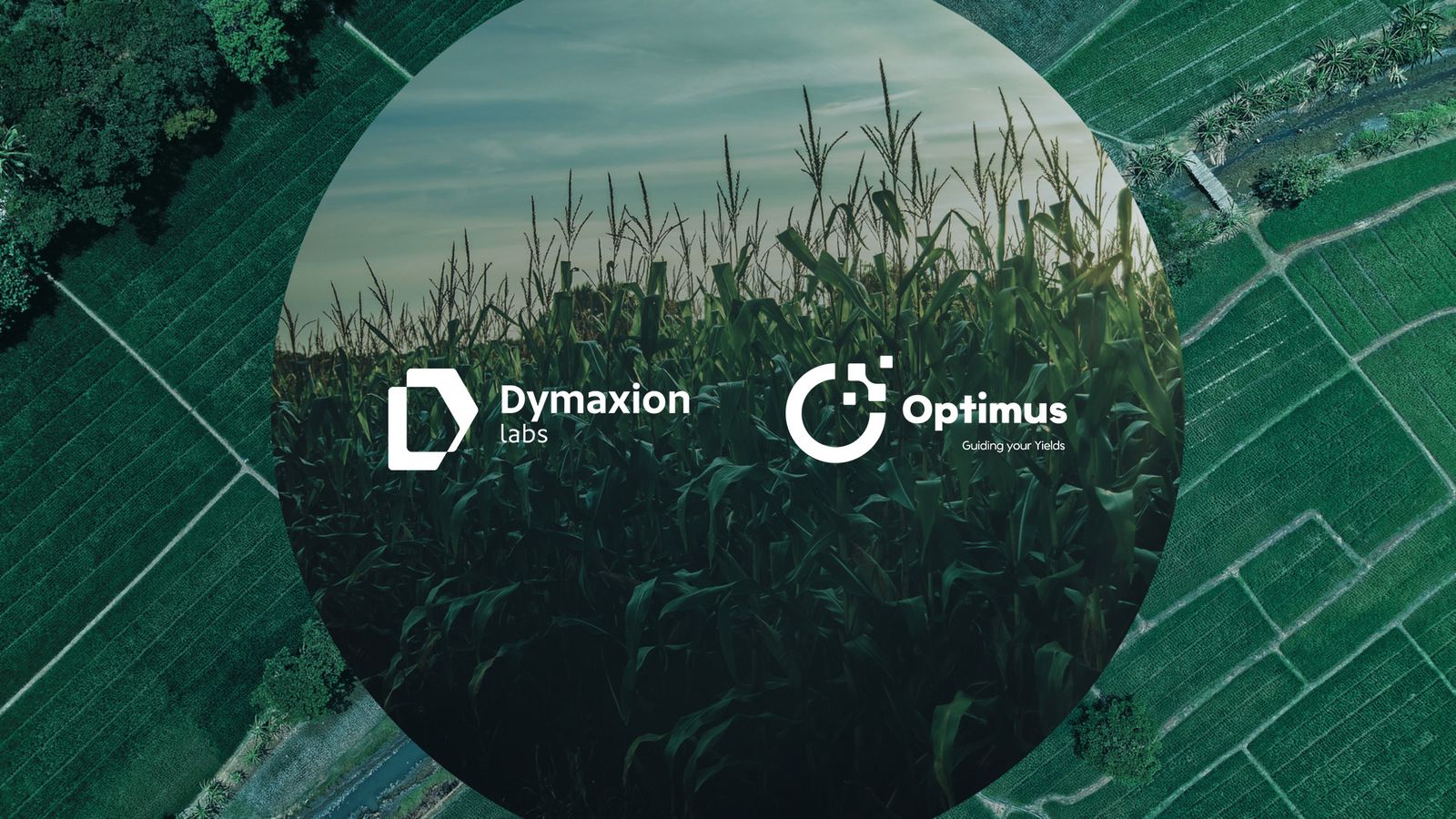 We led the rebranding of DymaxionLabs and the repositioning of its data & AI platform for agriculture