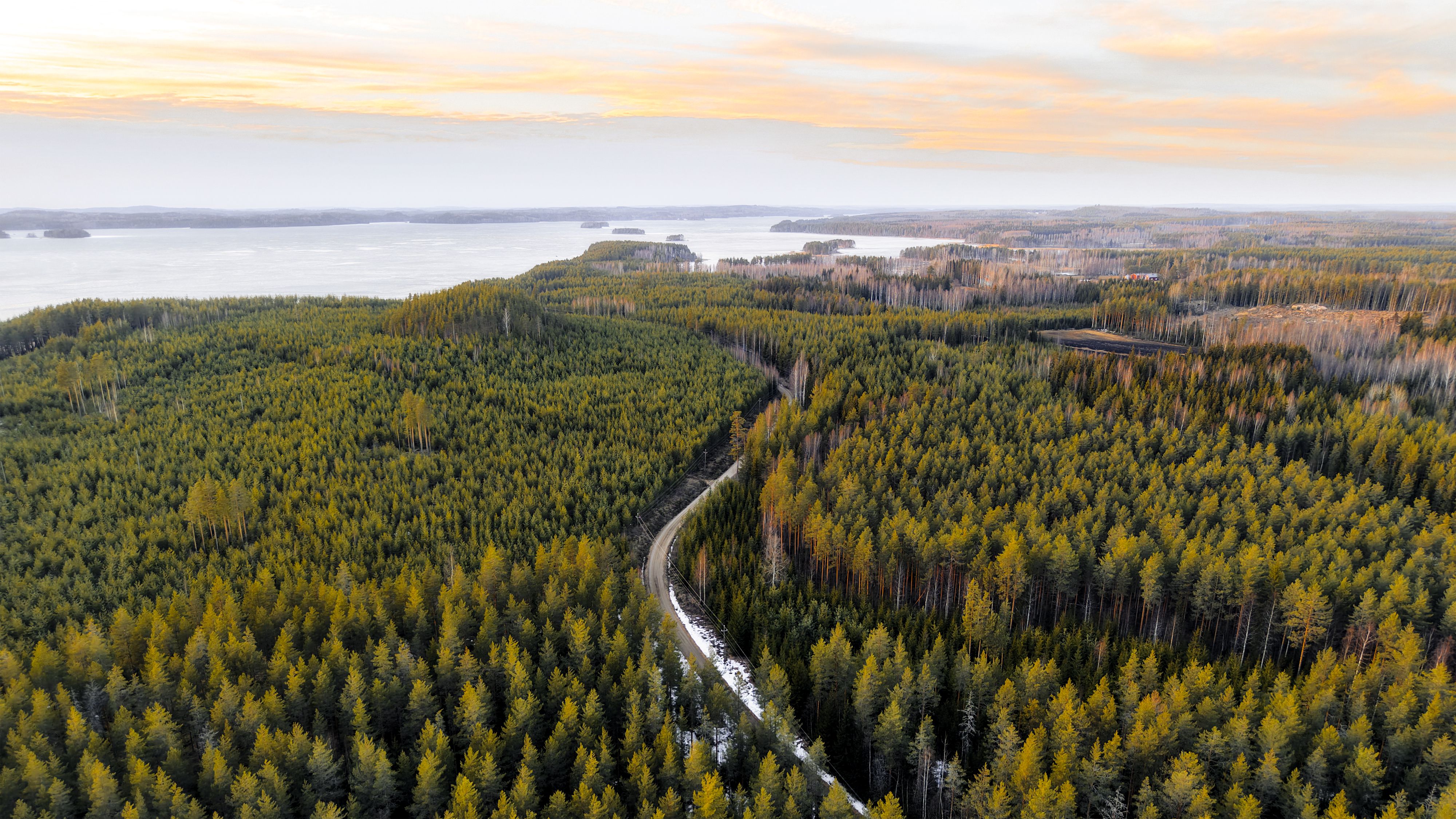A snowy road through a forrest towards a finish lake