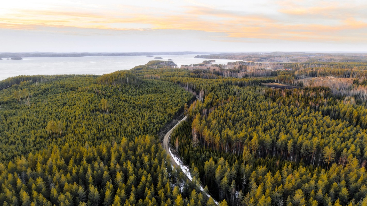 A snowy road through a forrest towards a finish lake