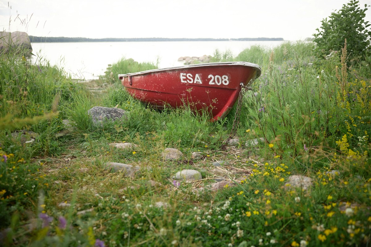 Boat on the Baltic Sea with green grass