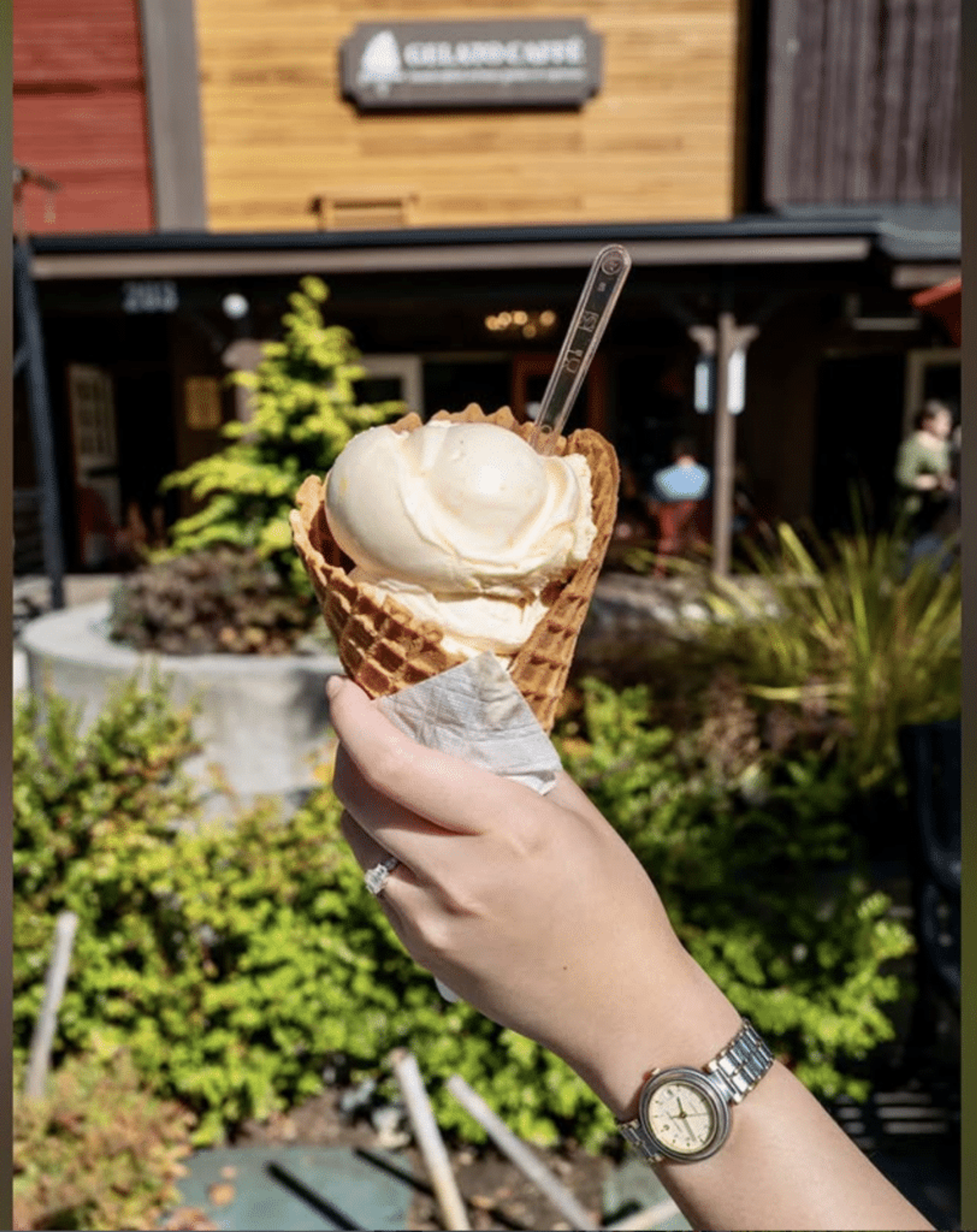 Gelato from Canarino Gelato