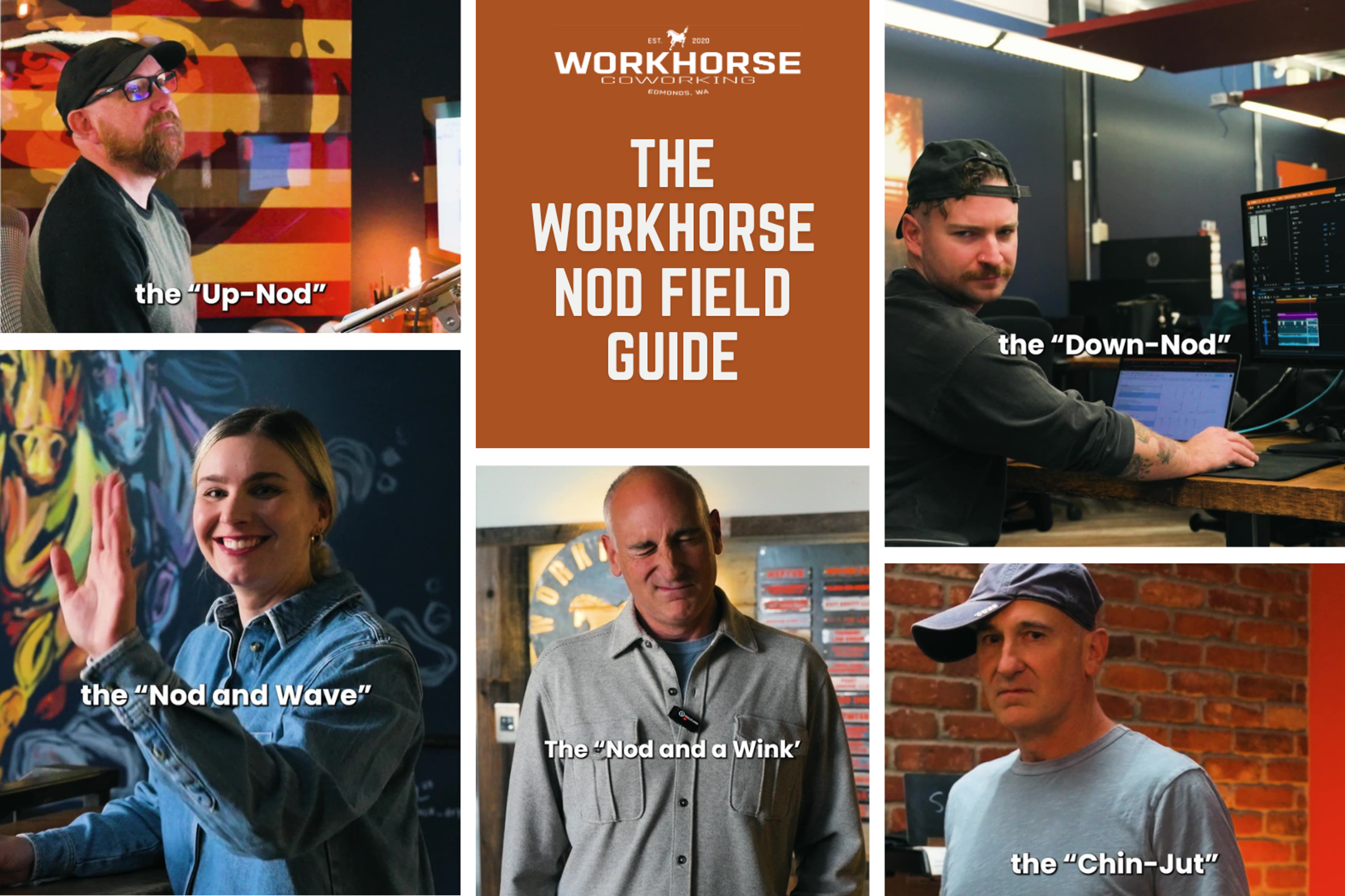 The Workhorse nod field guide
