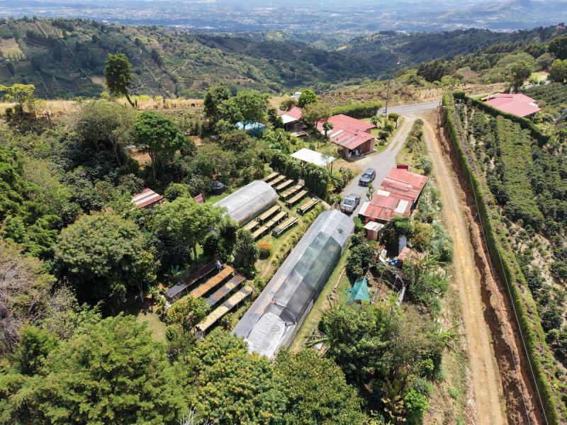 Microbeneficio Buena Vista desde arriba