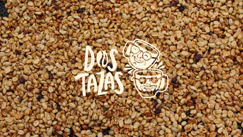 Official Dos Tazas logo designed by Celeste Rodriguez, featuring the project name with a free-spirited style.
