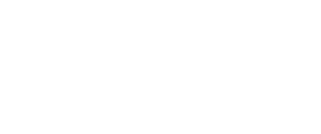 100+ Site Launches