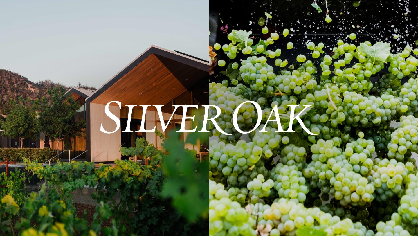 Silver Oak Vineyard