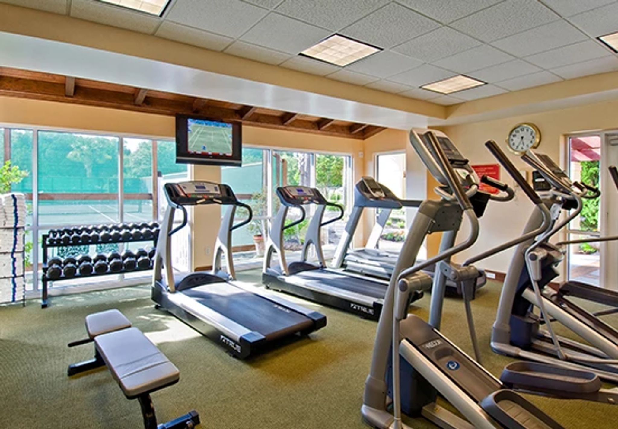 Fitness 