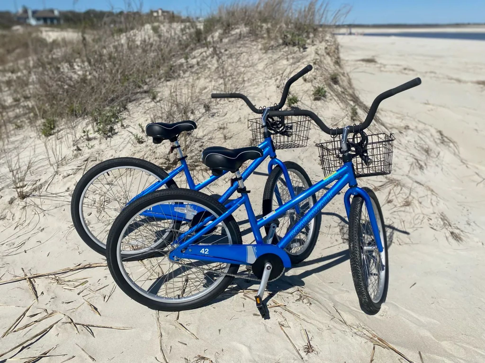 Bicycle Rentals