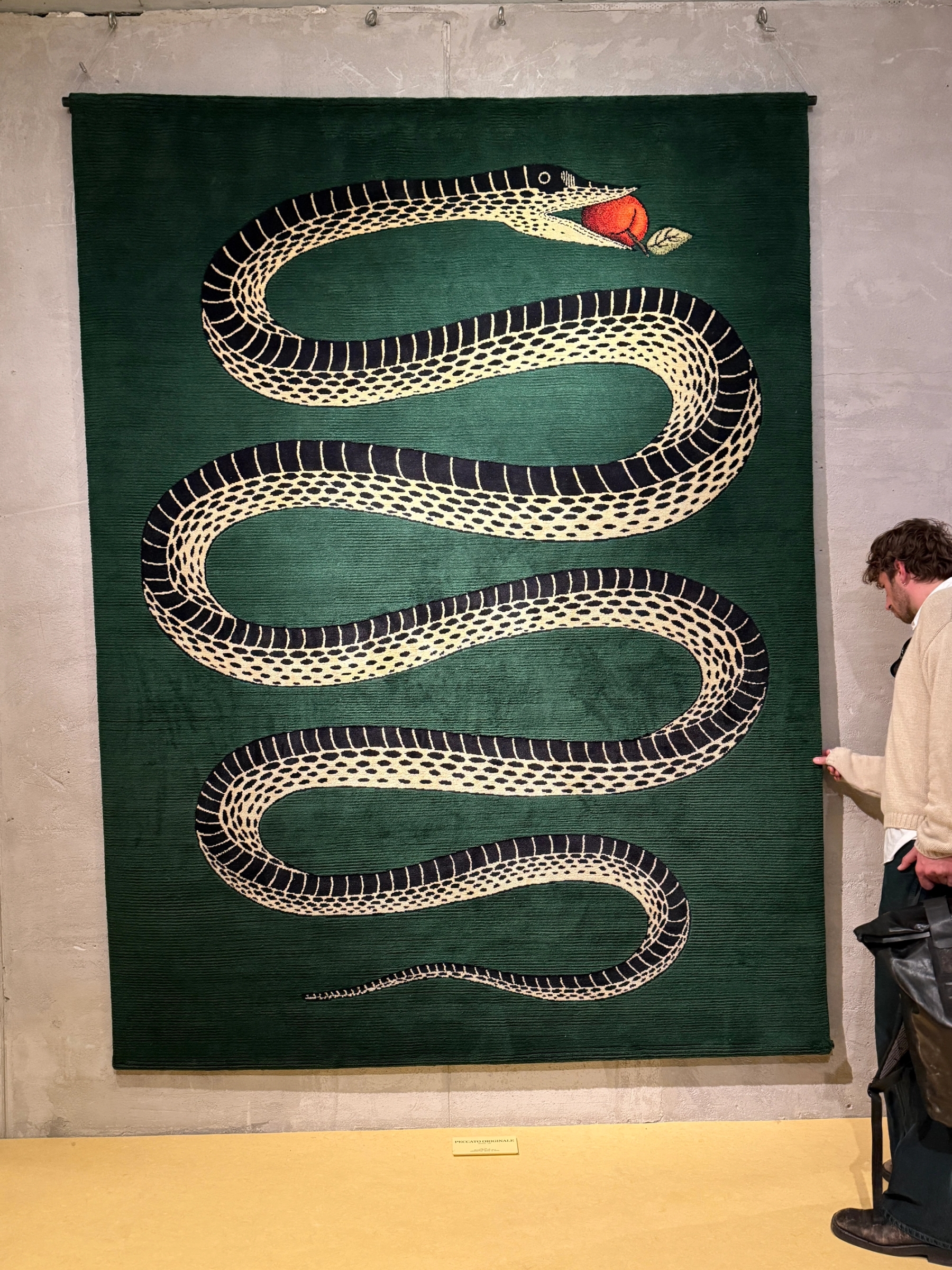 CC Tapis x Fornasetti, Dan Thawley & Pablo Molezun