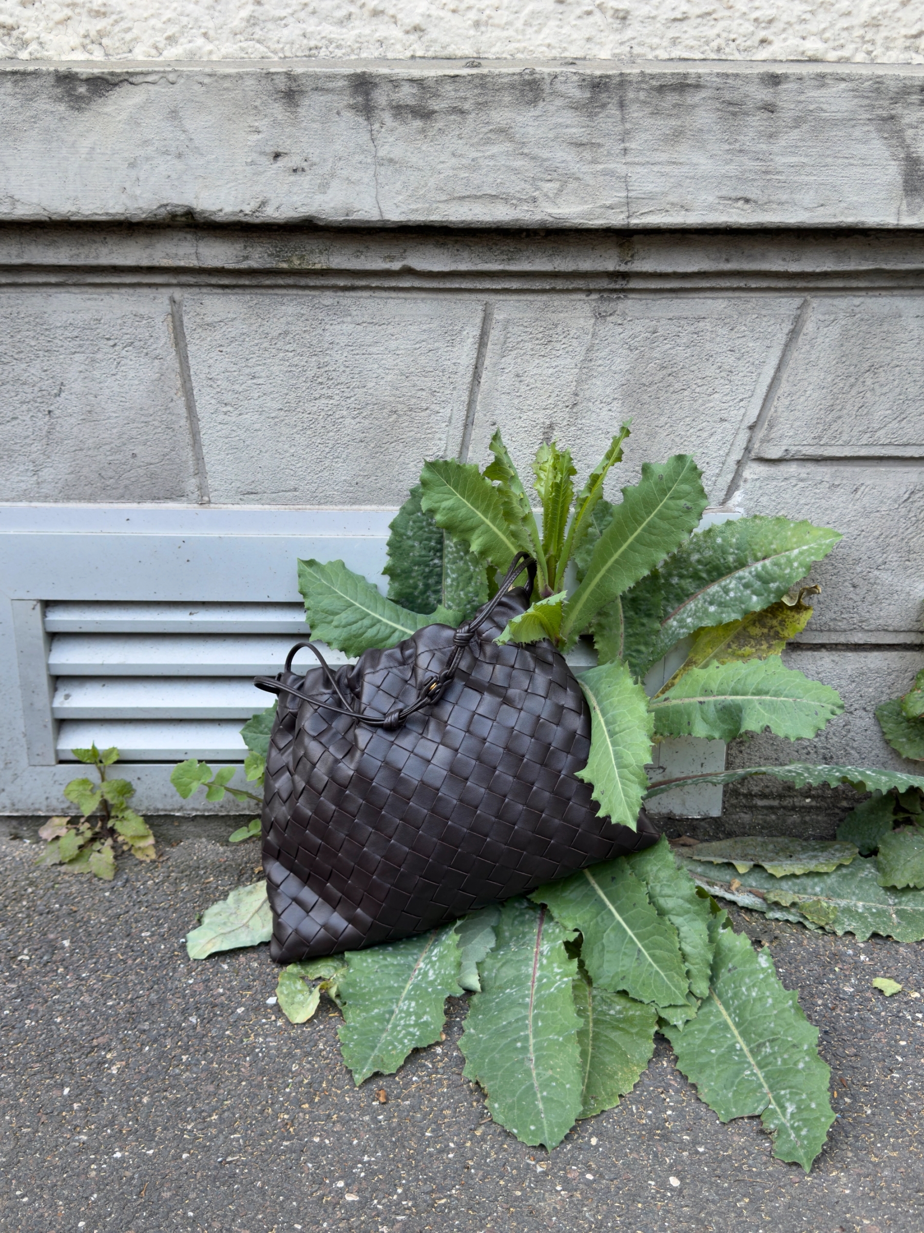 Bag Bottega Veneta