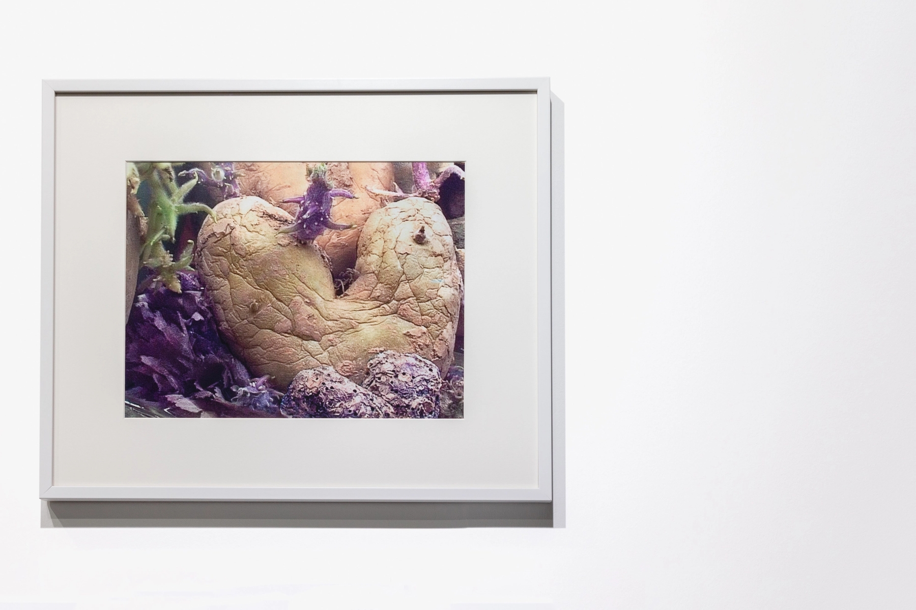 Agnès Varda, Galerie Nathalie Obadia