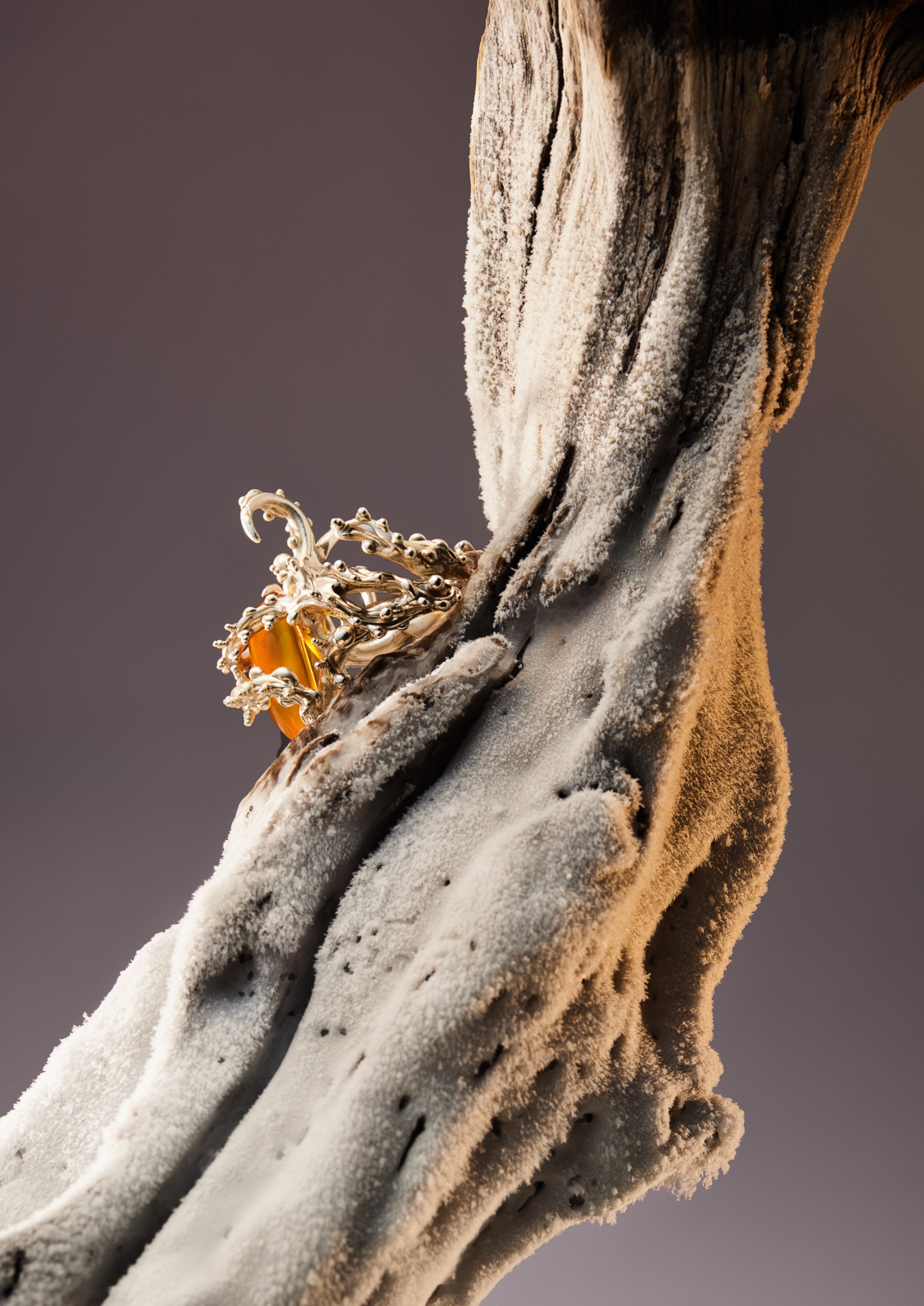 Rings Bold Studio