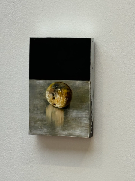 Karol Palczak, Rotting Apple on aluminium / Black Apple and Stone / Rotting Apple on Gloss / Tomato, 2024