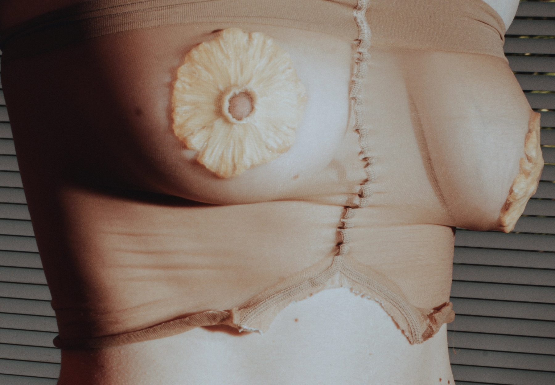 Body adornment dried pineapple 