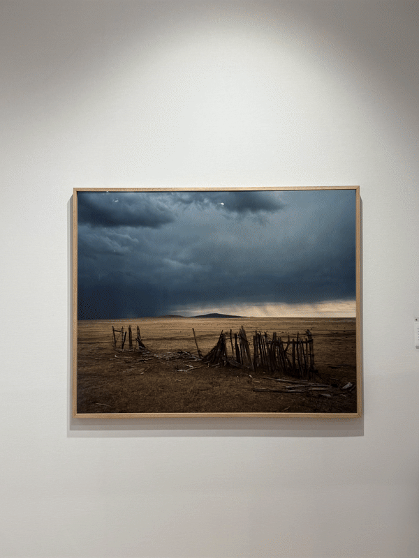 Bryan Schutmaat, Galerie Wouter Van Leeuwen